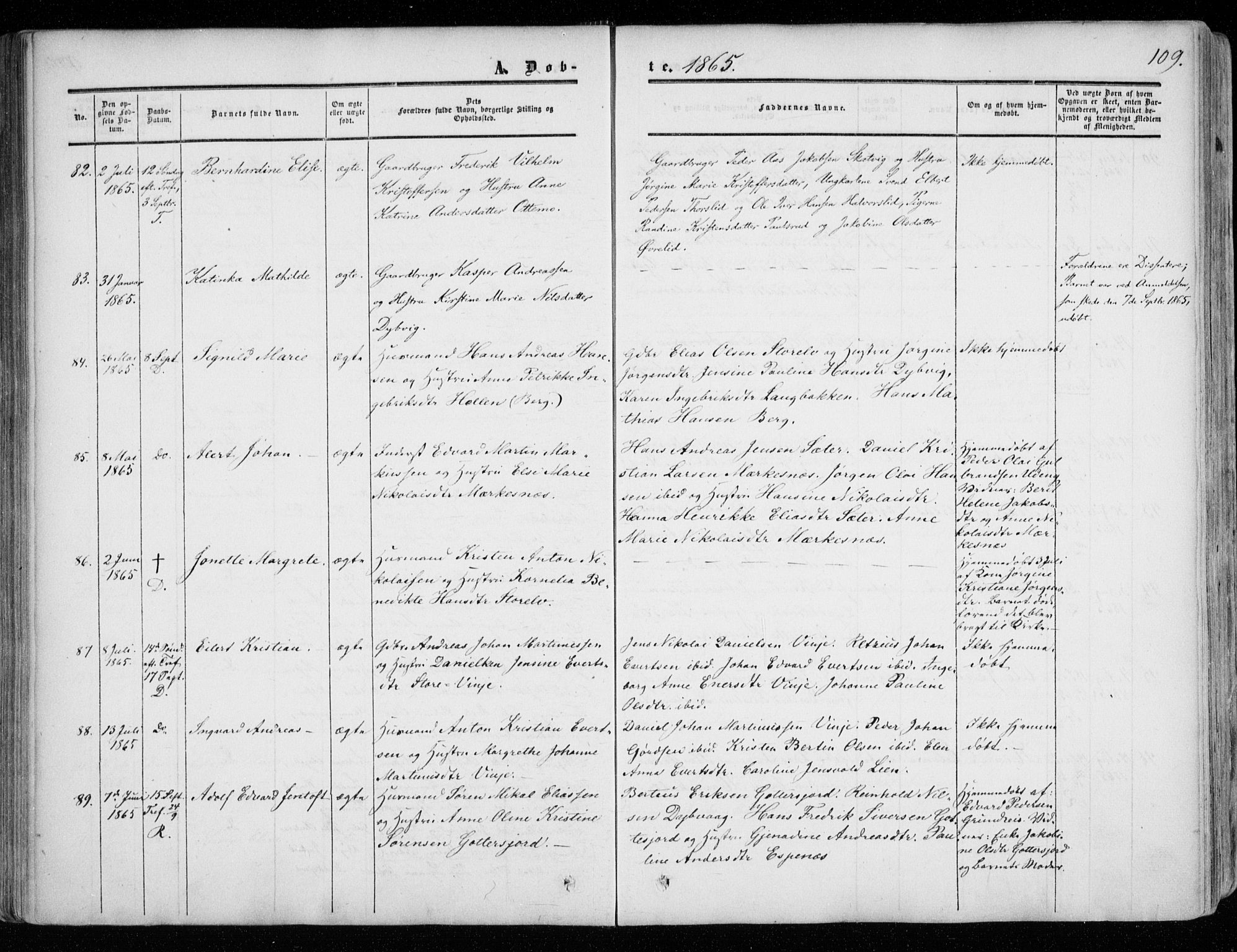 Tranøy sokneprestkontor, SATØ/S-1313/I/Ia/Iaa/L0007kirke: Parish register (official) no. 7, 1856-1866, p. 109