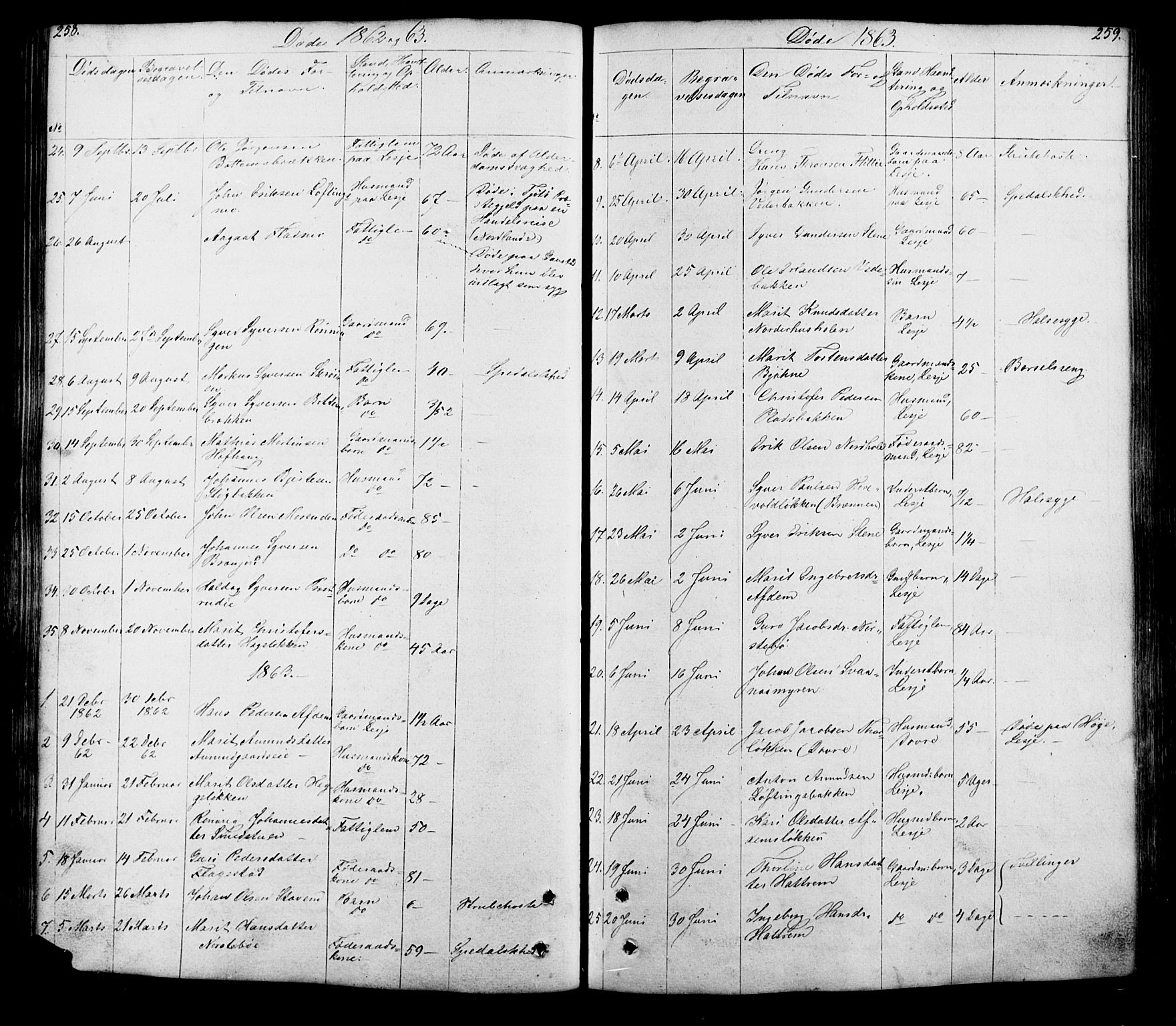 Lesja prestekontor, SAH/PREST-068/H/Ha/Hab/L0005: Parish register (copy) no. 5, 1850-1894, p. 258-259
