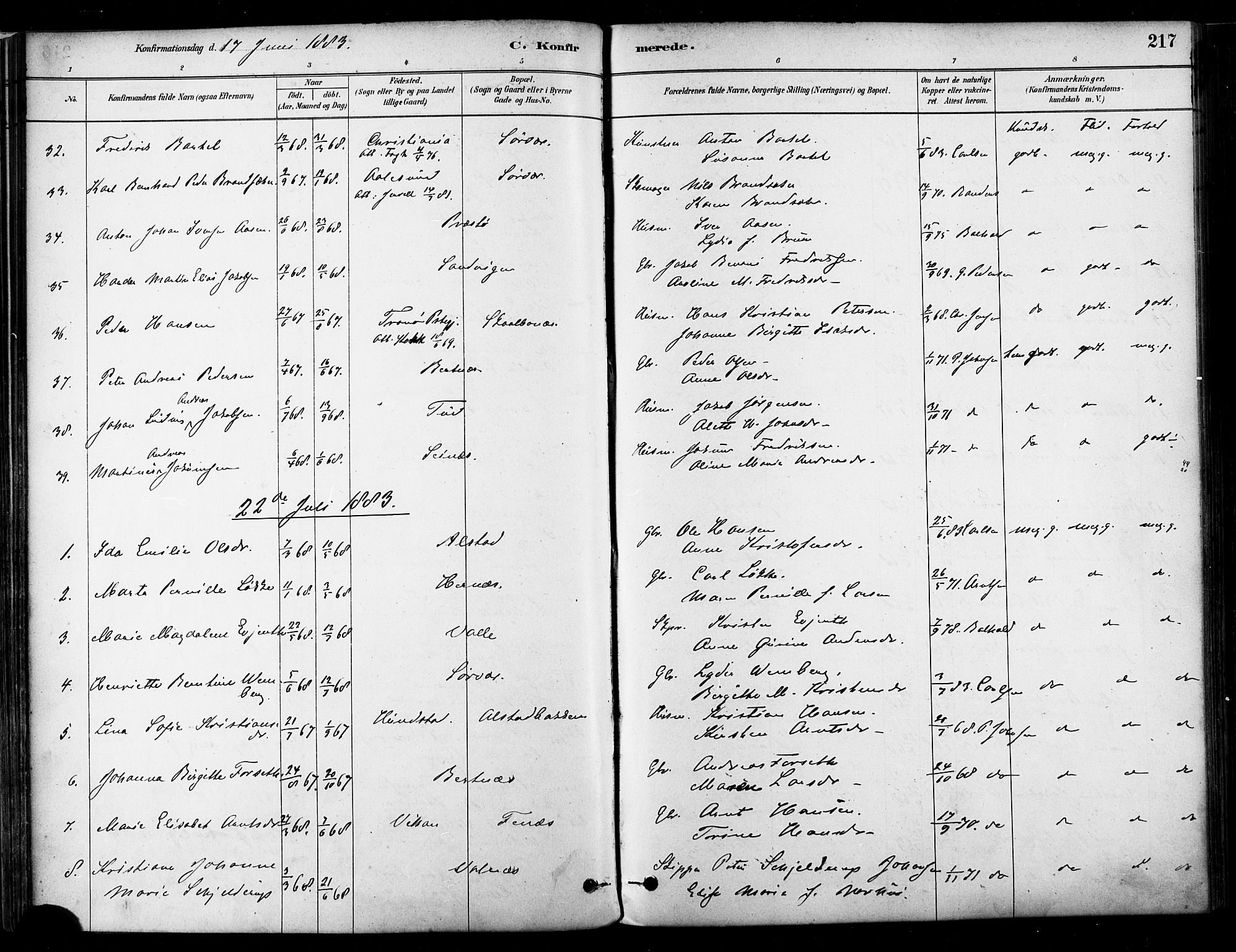 Ministerialprotokoller, klokkerbøker og fødselsregistre - Nordland, SAT/A-1459/802/L0054: Parish register (official) no. 802A01, 1879-1893, p. 217