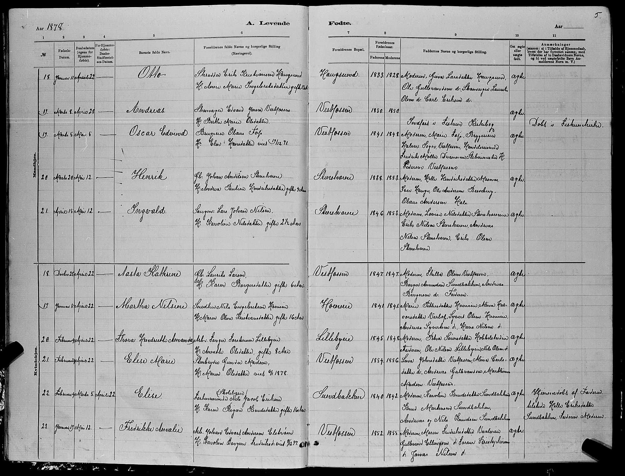 Eiker kirkebøker, AV/SAKO-A-4/G/Ga/L0005: Parish register (copy) no. I 5, 1878-1887, p. 5