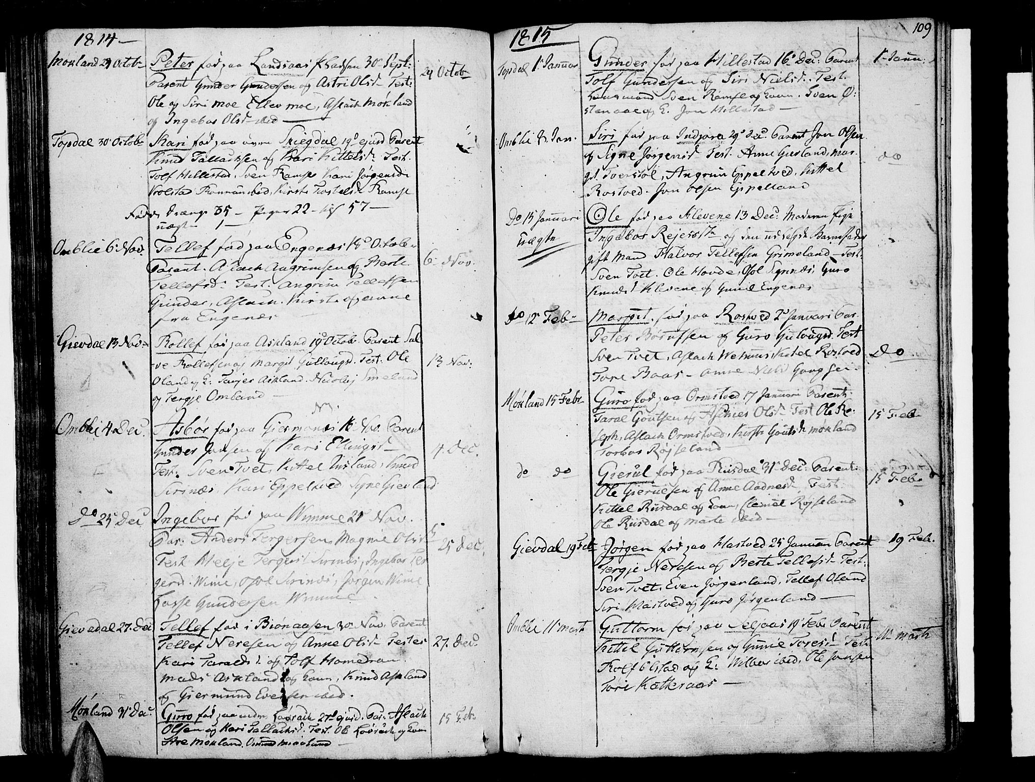 Åmli sokneprestkontor, AV/SAK-1111-0050/F/Fa/Fac/L0005: Parish register (official) no. A 5, 1796-1816, p. 109