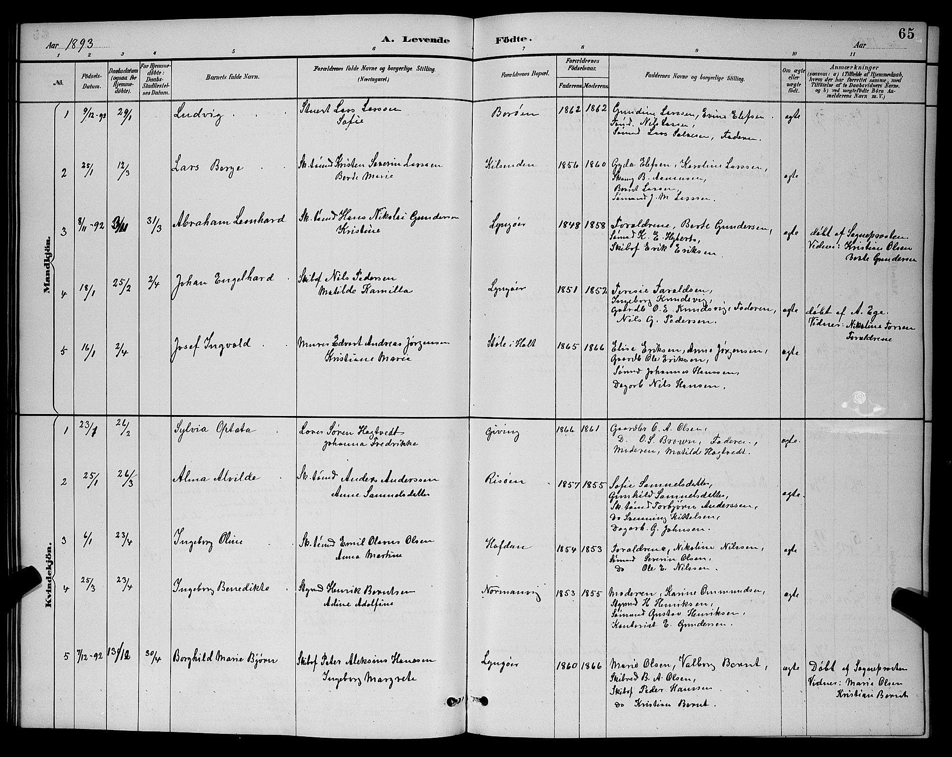 Dypvåg sokneprestkontor, AV/SAK-1111-0007/F/Fb/Fba/L0013: Parish register (copy) no. B 13, 1887-1900, p. 65