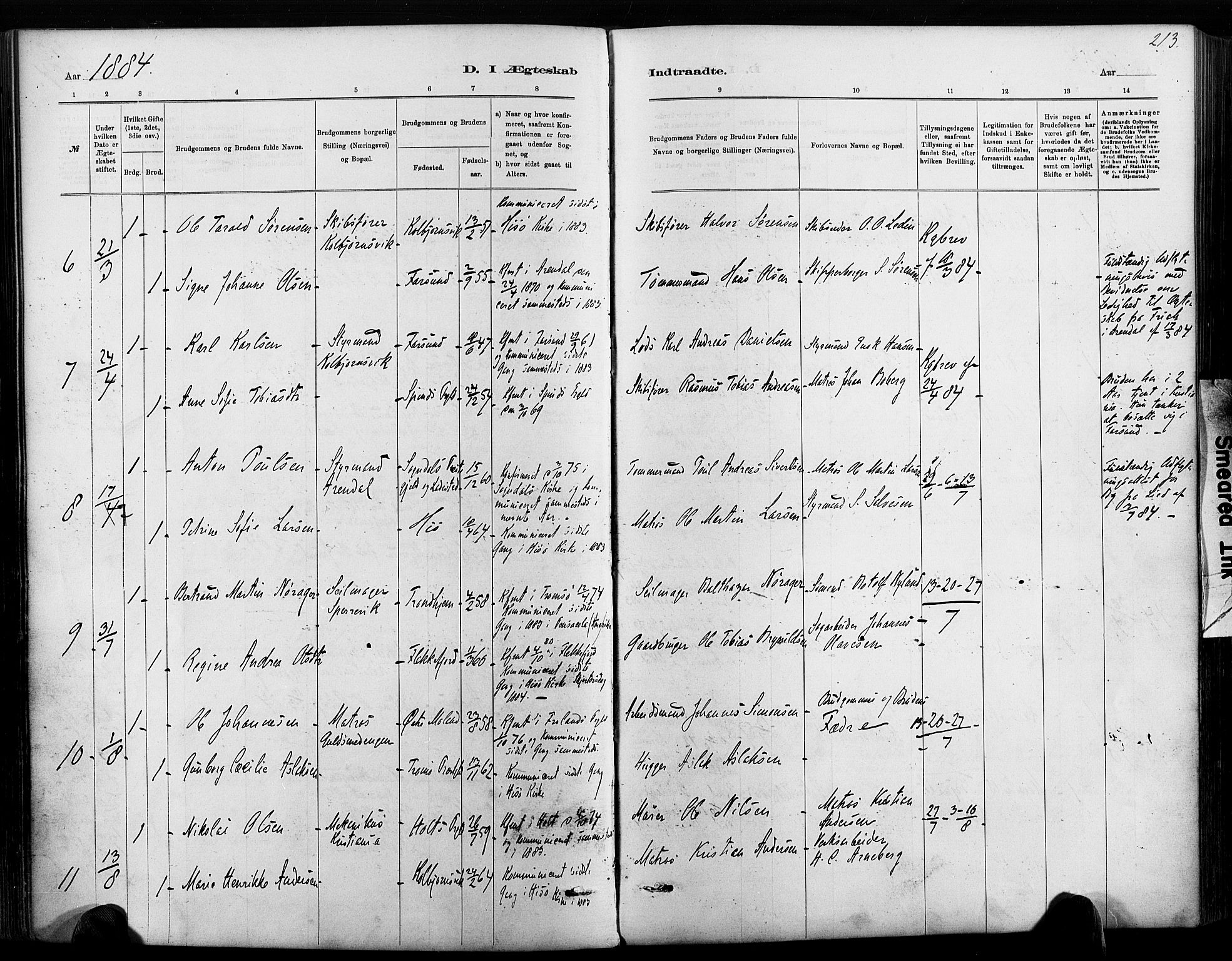 Hisøy sokneprestkontor, AV/SAK-1111-0020/F/Fa/L0003: Parish register (official) no. A 3, 1881-1894, p. 213