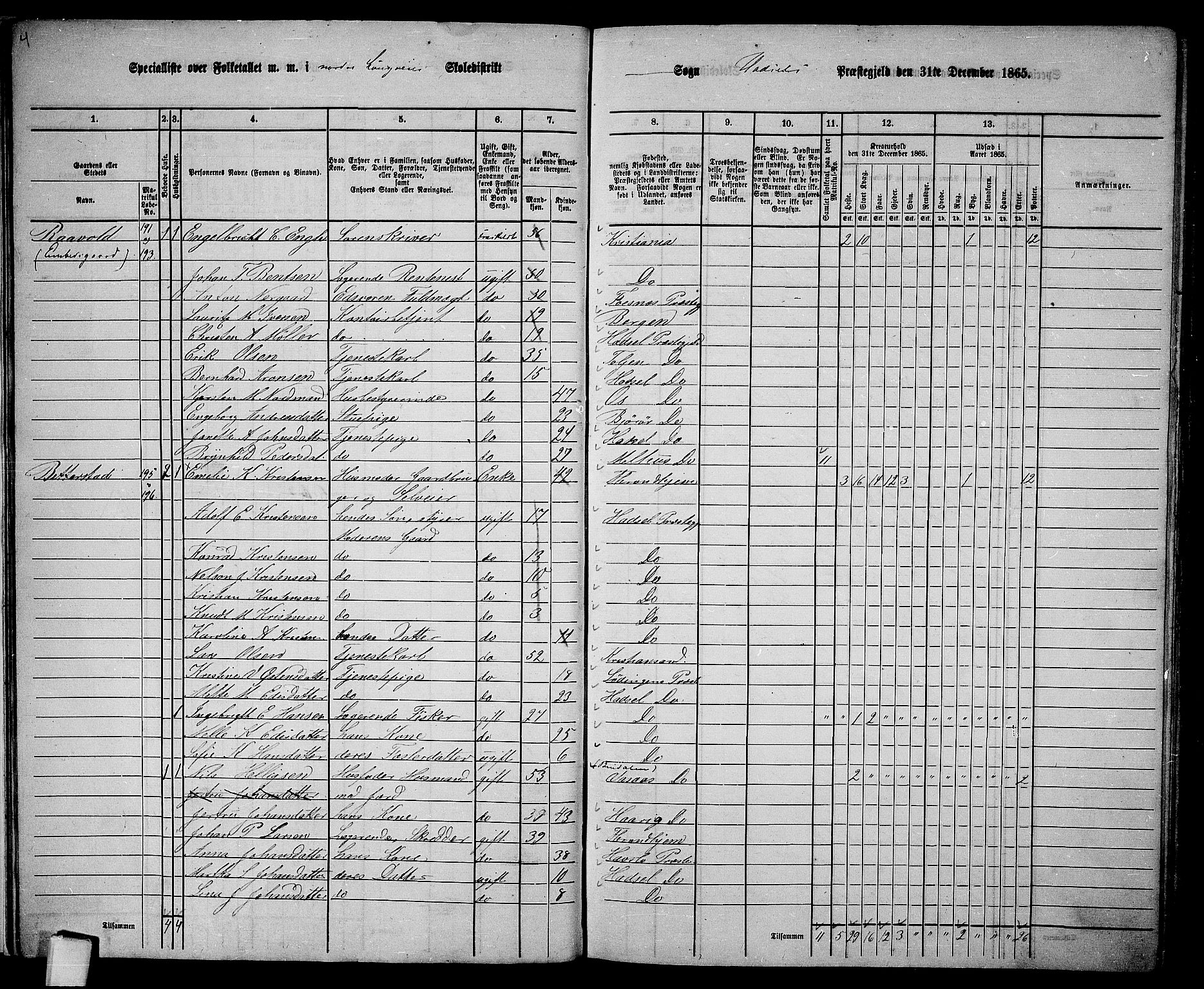 RA, 1865 census for Hadsel, 1865, p. 14