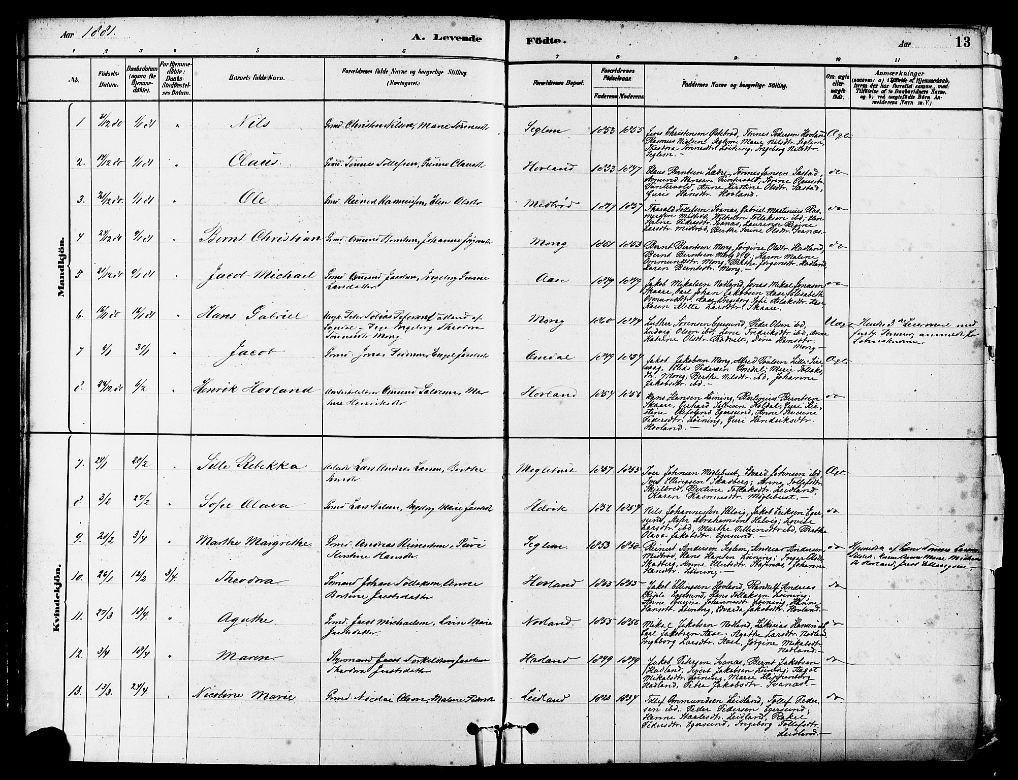 Eigersund sokneprestkontor, AV/SAST-A-101807/S08/L0017: Parish register (official) no. A 14, 1879-1892, p. 13