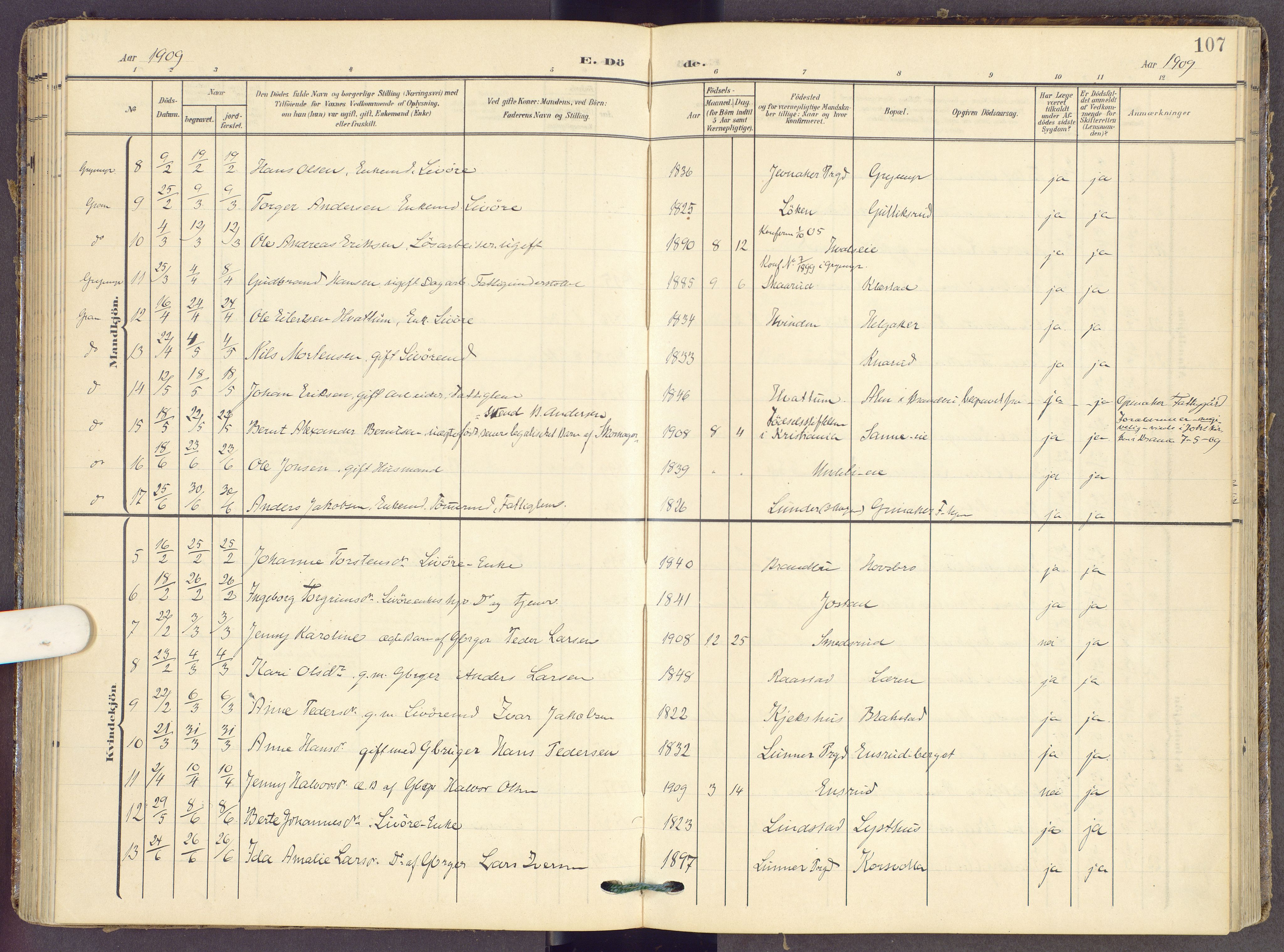 Gran prestekontor, SAH/PREST-112/H/Ha/Haa/L0022: Parish register (official) no. 22, 1908-1918, p. 107