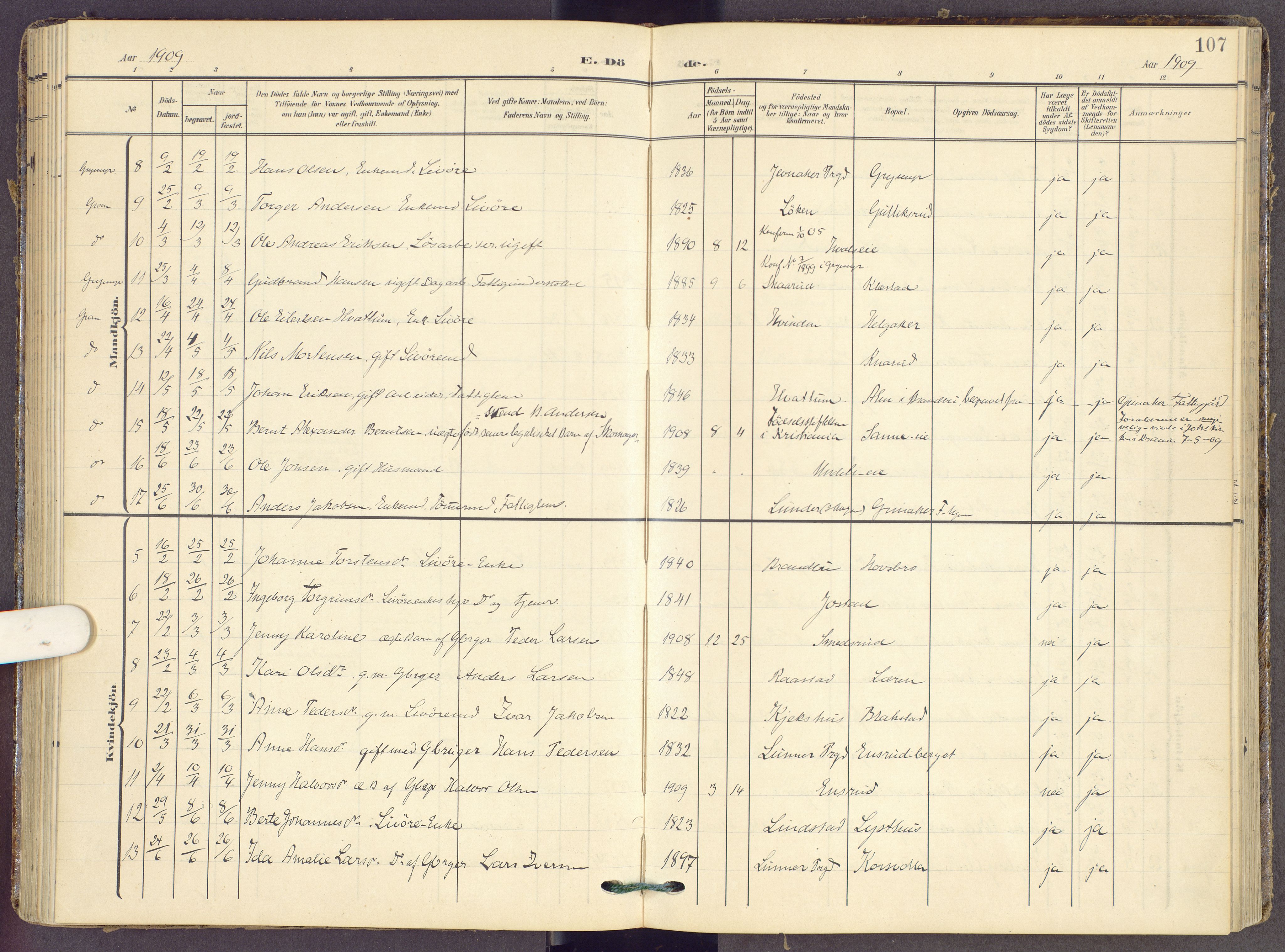 Gran prestekontor, AV/SAH-PREST-112/H/Ha/Haa/L0022: Parish register (official) no. 22, 1908-1918, p. 107