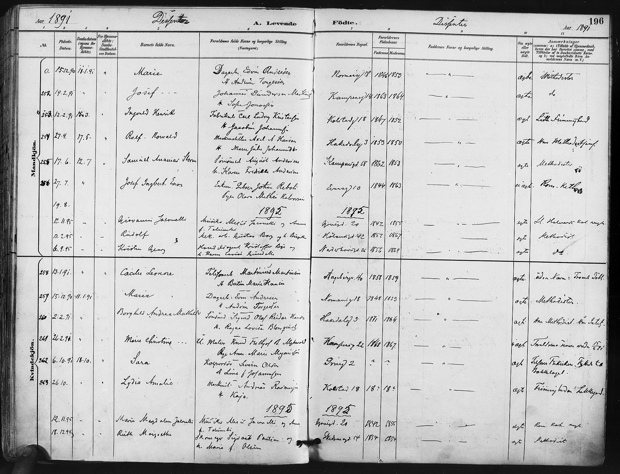 Kampen prestekontor Kirkebøker, AV/SAO-A-10853/F/Fa/L0005: Parish register (official) no. I 5, 1890-1902, p. 196