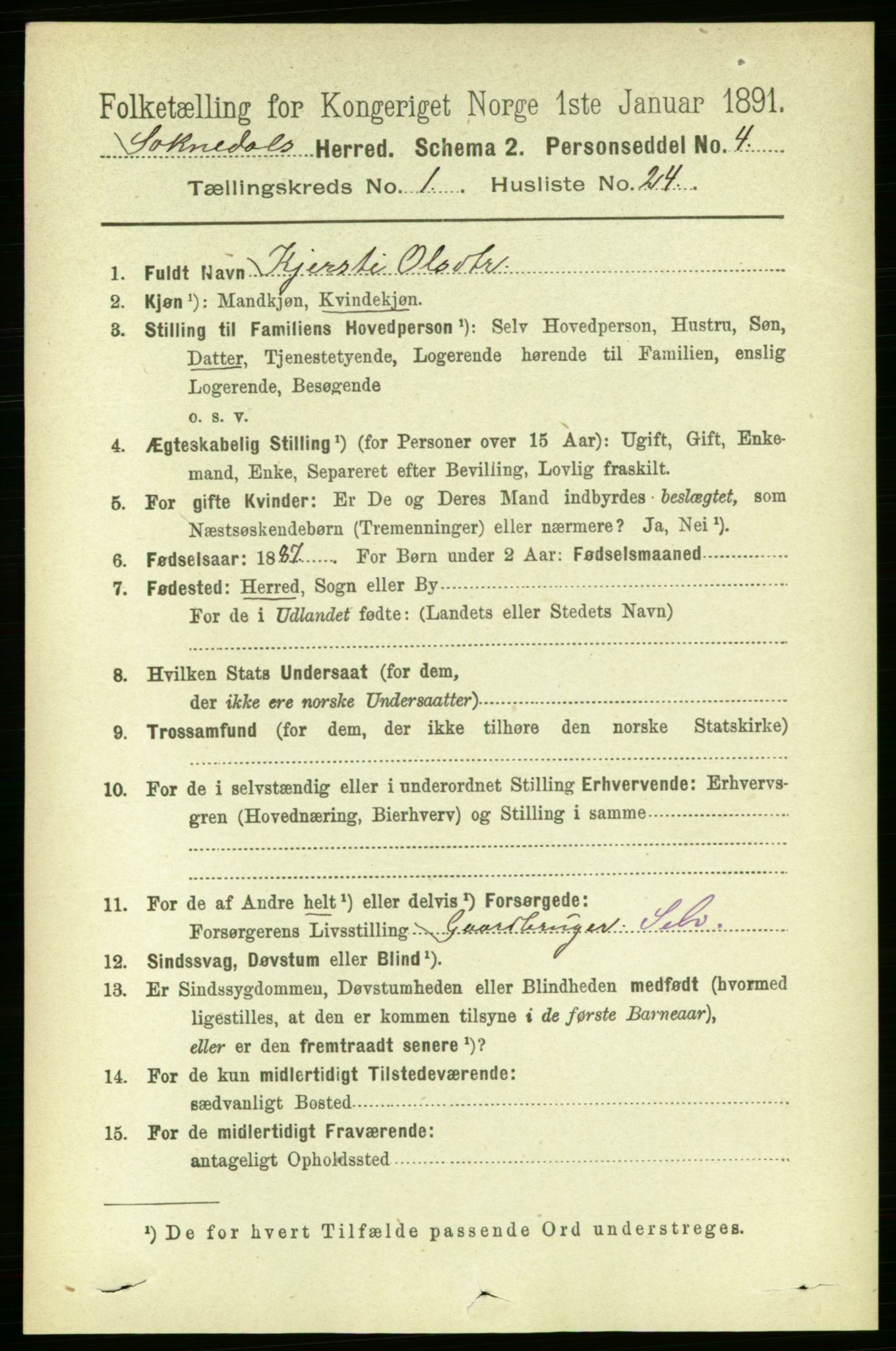 RA, 1891 census for 1649 Soknedal, 1891, p. 221