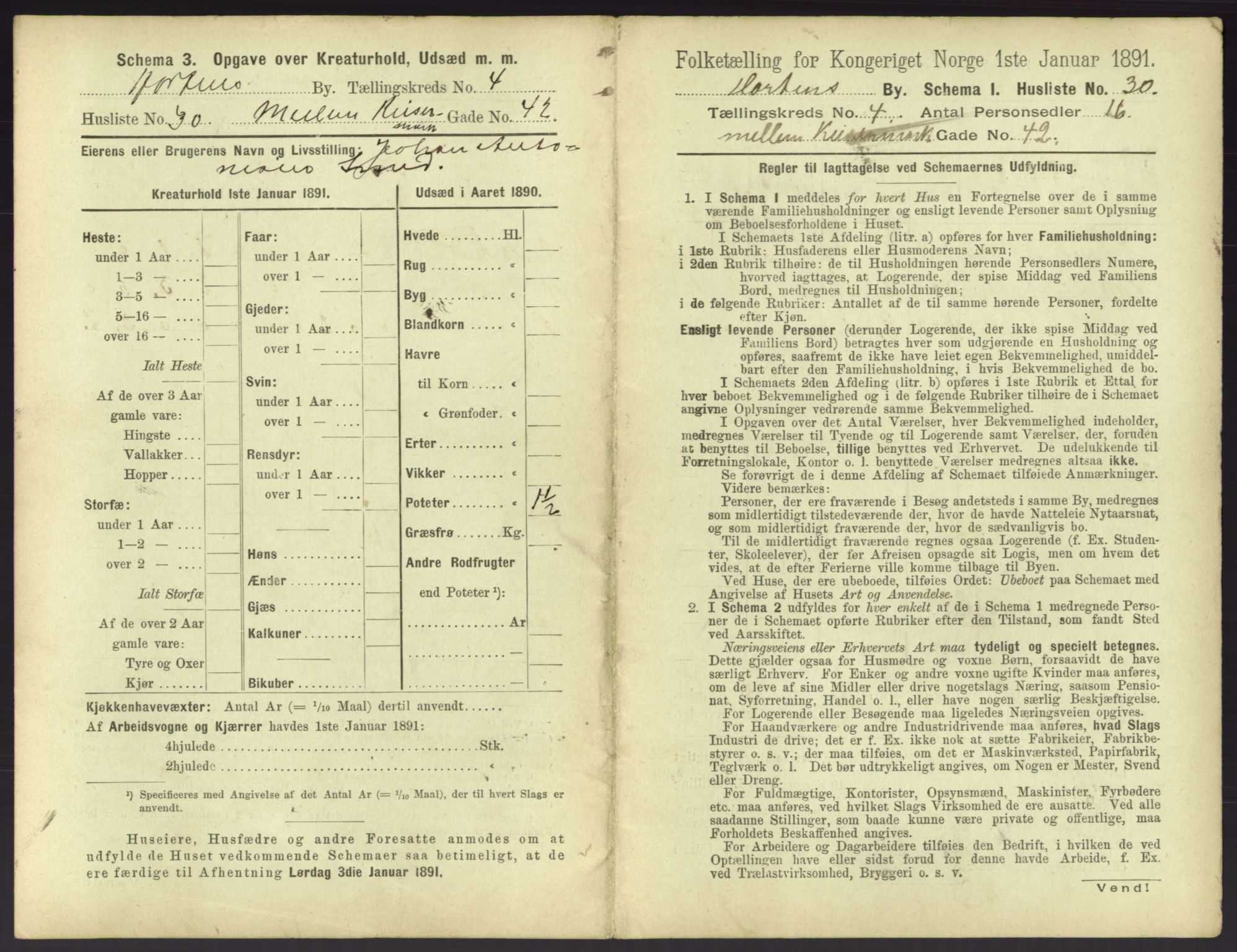 RA, 1891 census for 0703 Horten, 1891, p. 455