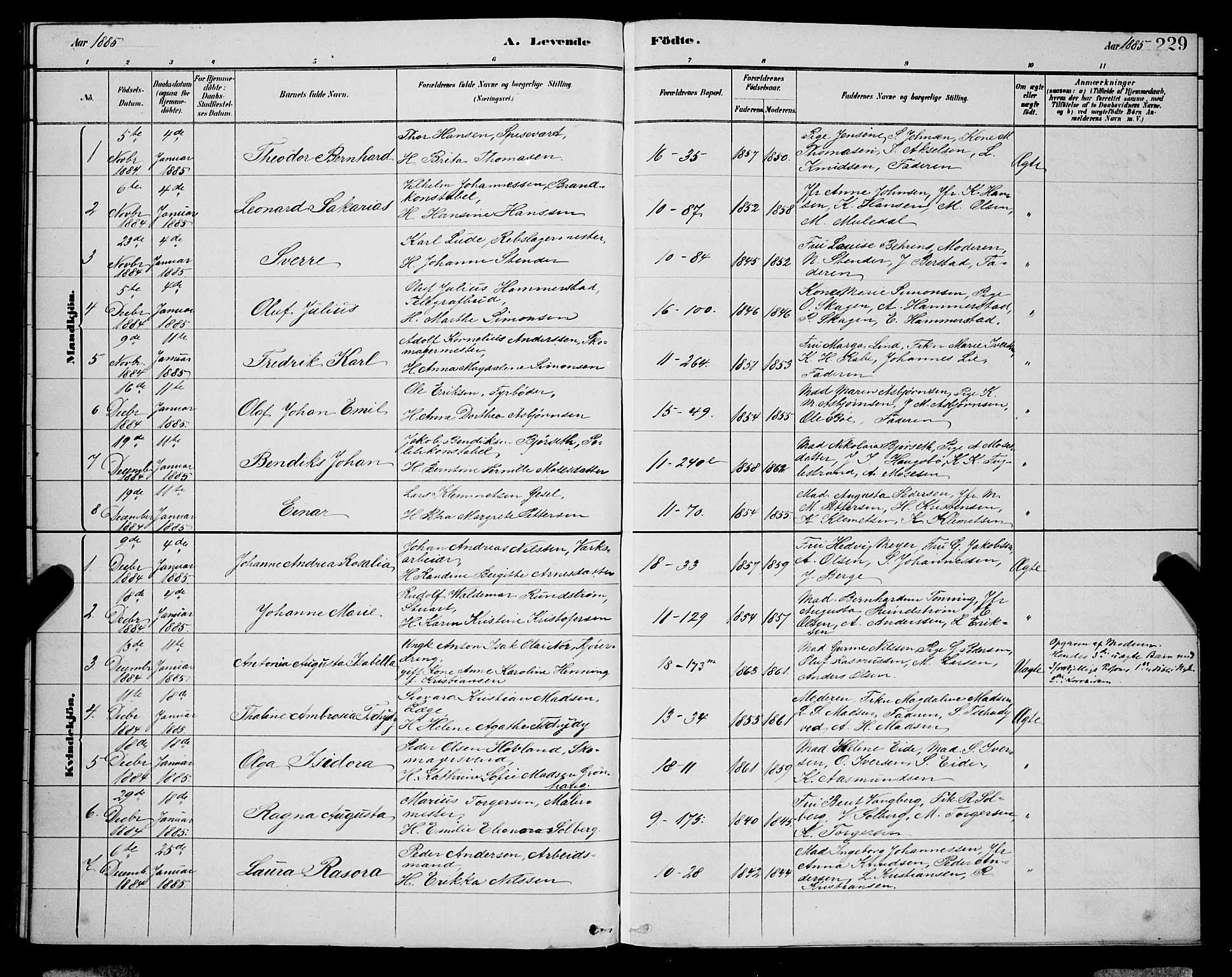 Domkirken sokneprestembete, SAB/A-74801/H/Hab/L0015: Parish register (copy) no. B 8, 1879-1887, p. 229