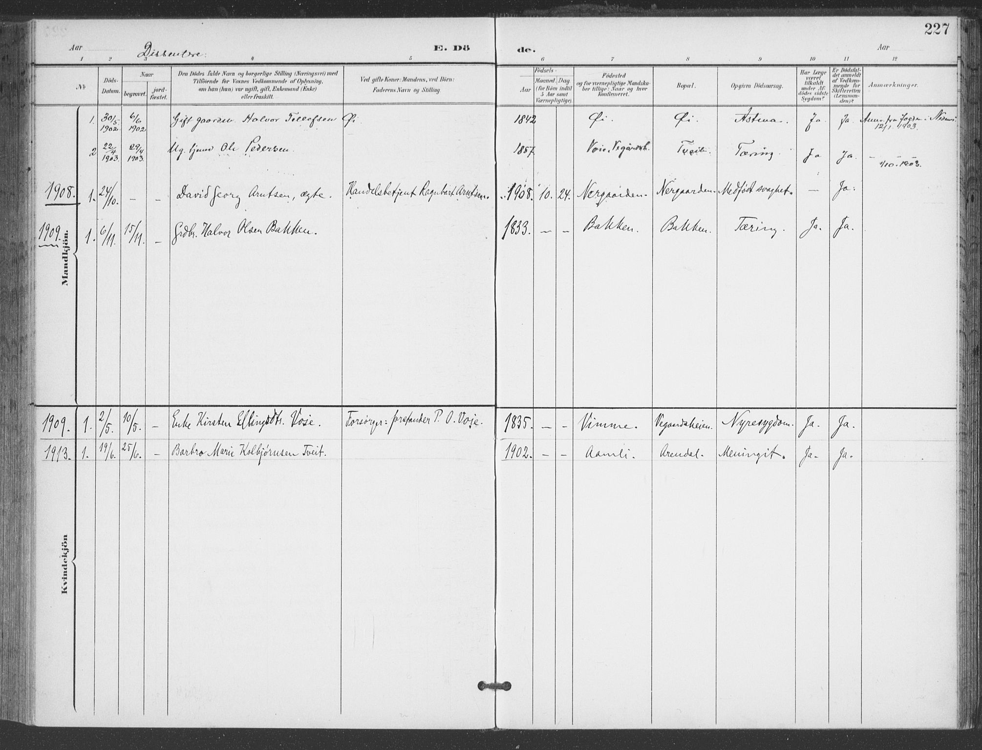 Åmli sokneprestkontor, SAK/1111-0050/F/Fa/Fac/L0012: Parish register (official) no. A 12, 1900-1914, p. 227