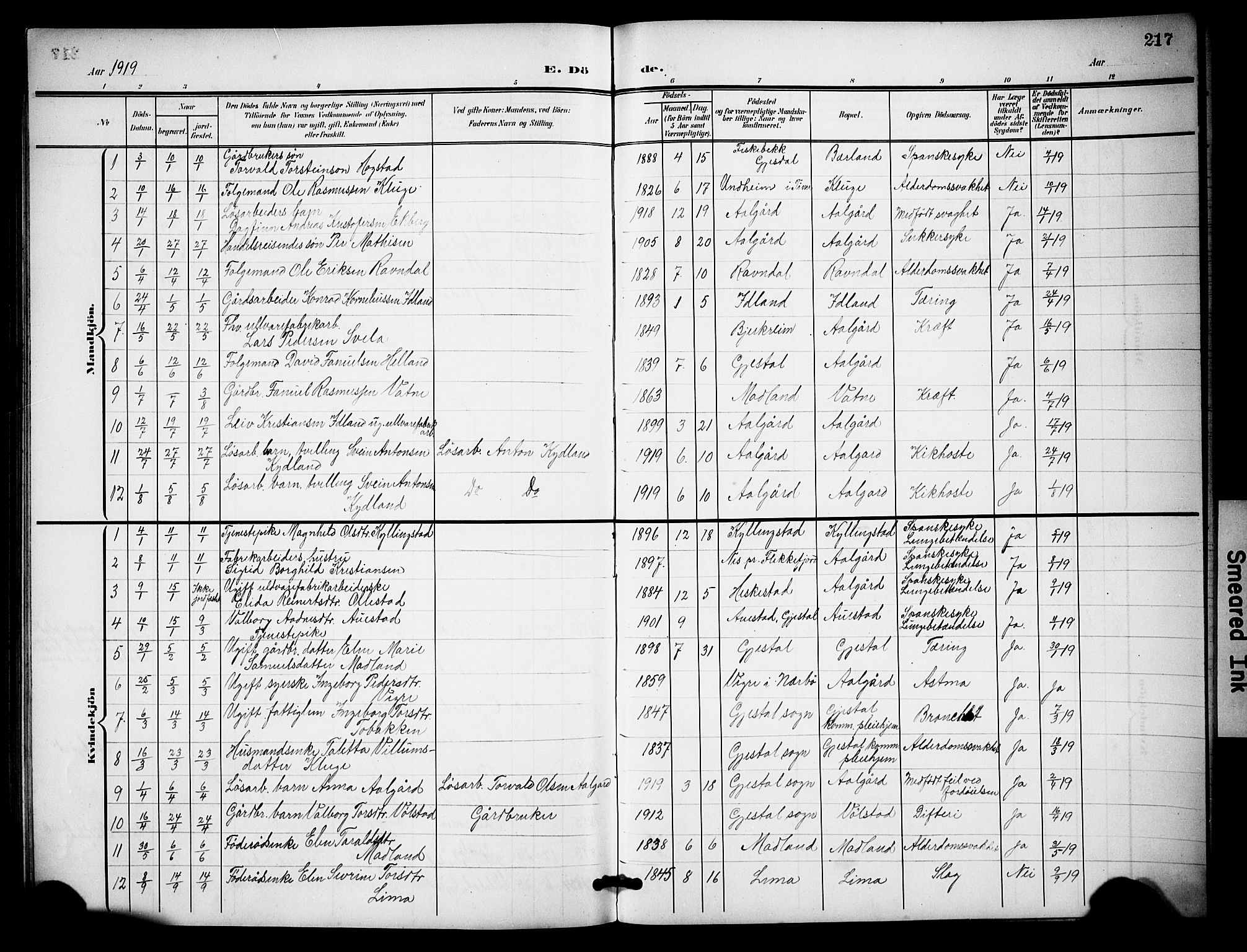 Lye sokneprestkontor, SAST/A-101794/001/30BB/L0009: Parish register (copy) no. B 9, 1902-1923, p. 217