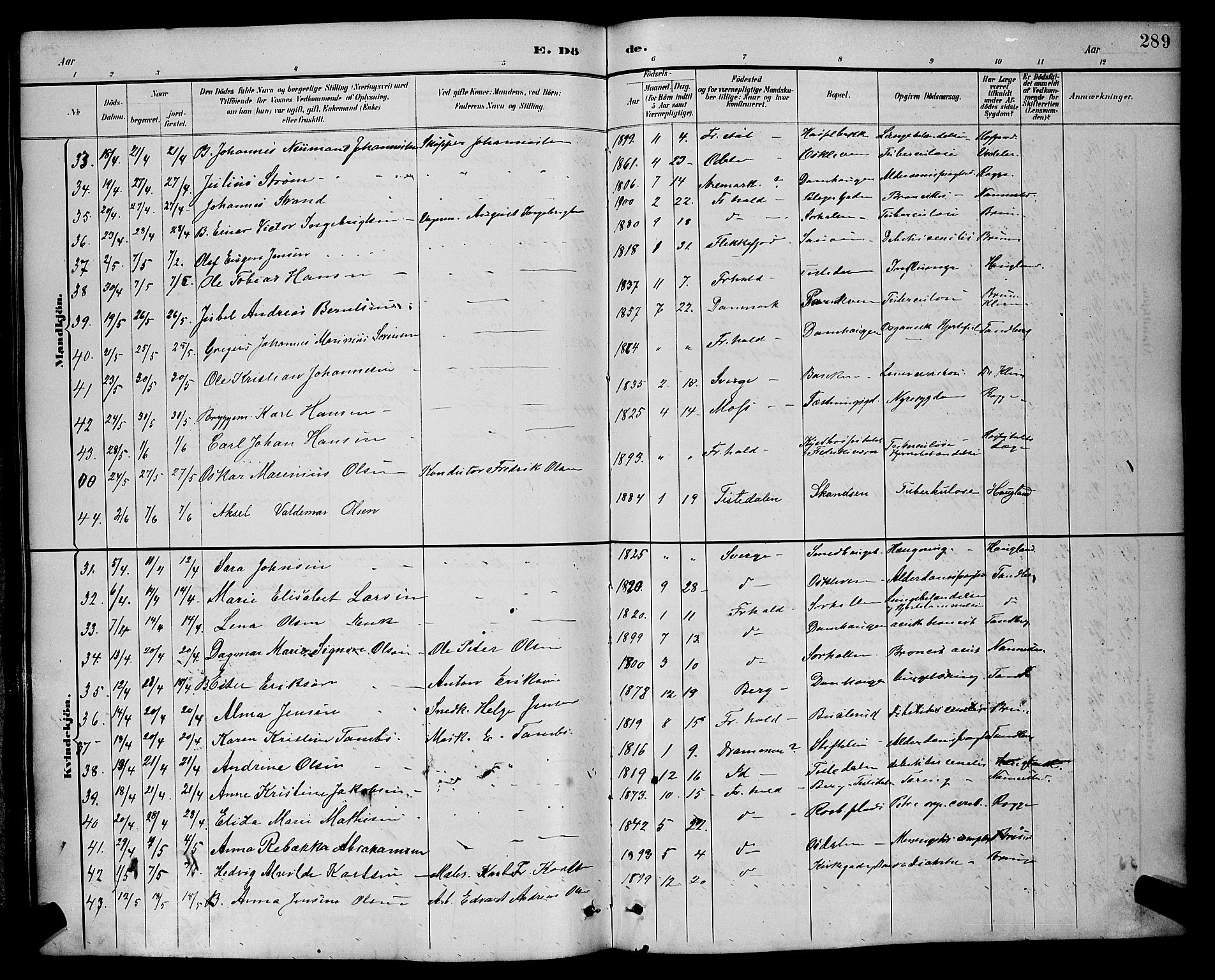 Halden prestekontor Kirkebøker, SAO/A-10909/G/Ga/L0009: Parish register (copy) no. 9, 1885-1908, p. 289