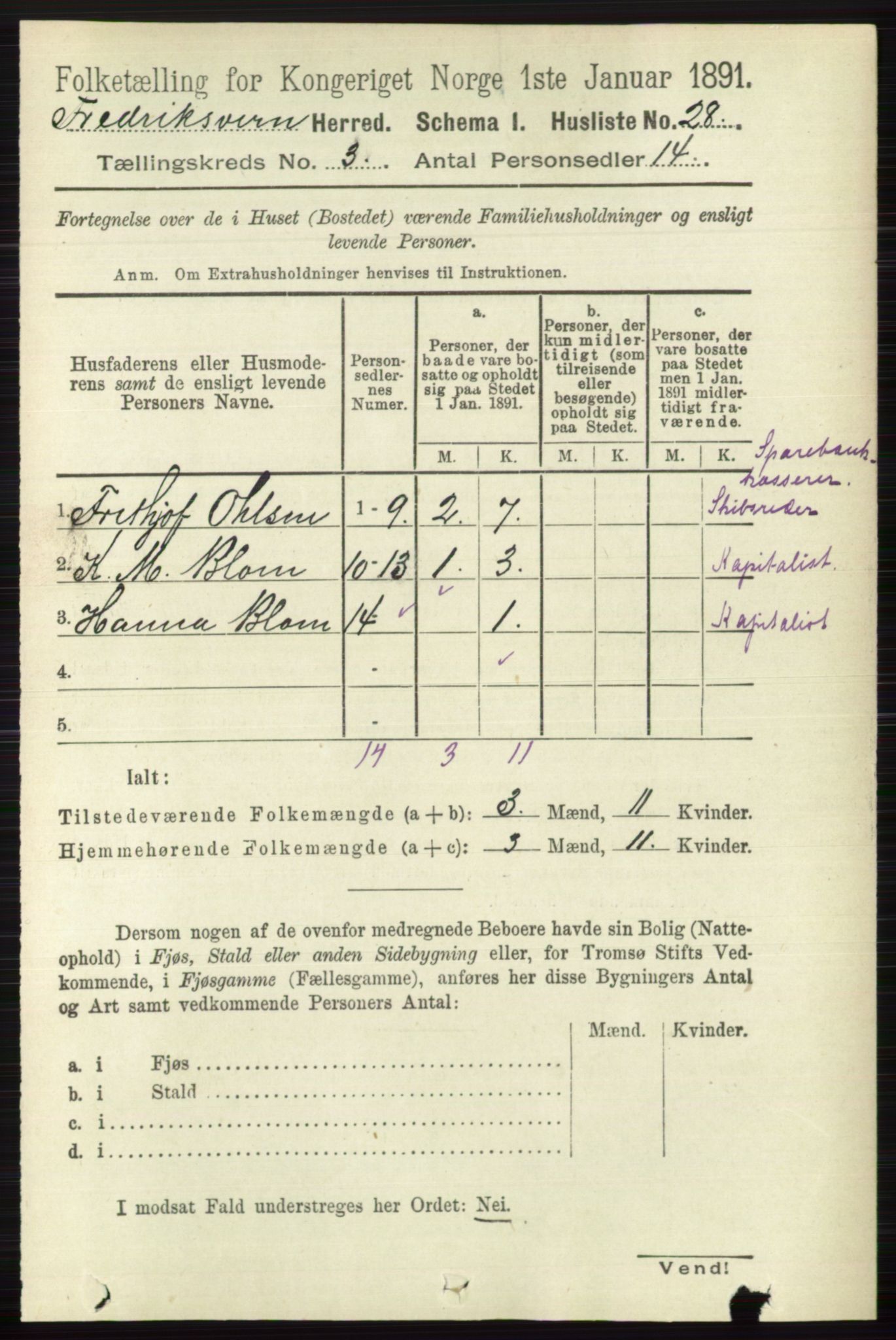 RA, 1891 census for 0798 Fredriksvern, 1891, p. 452