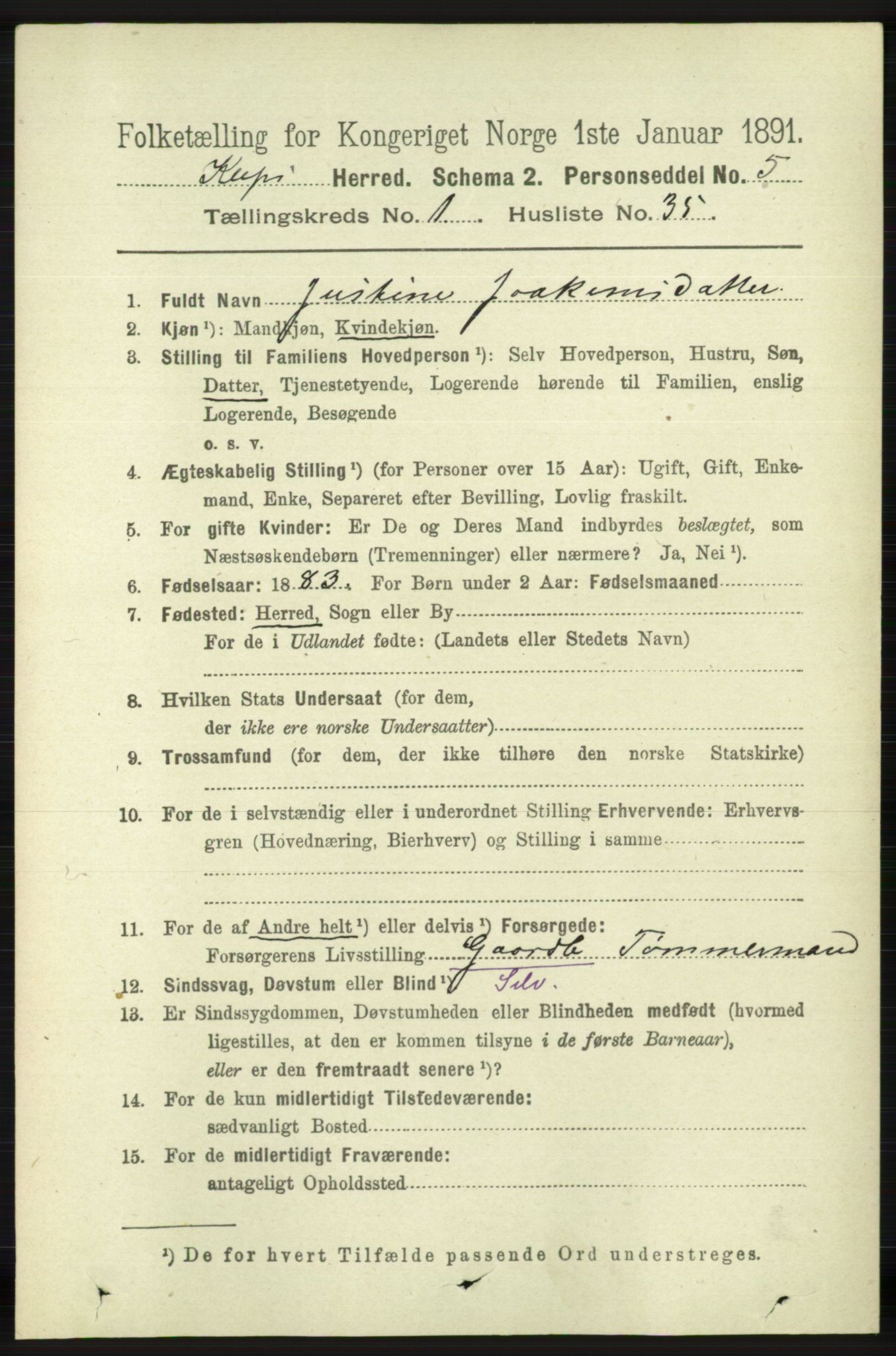 RA, 1891 census for 1120 Klepp, 1891, p. 302