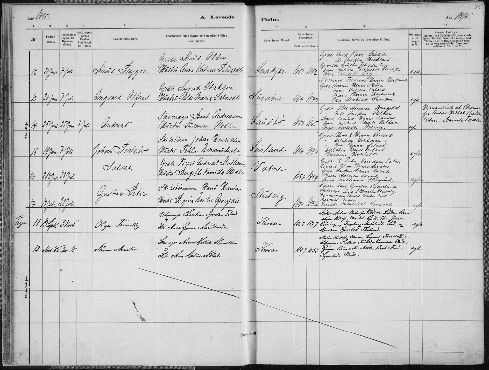 Holum sokneprestkontor, AV/SAK-1111-0022/F/Fa/Faa/L0007: Parish register (official) no. A 7, 1884-1907, p. 35