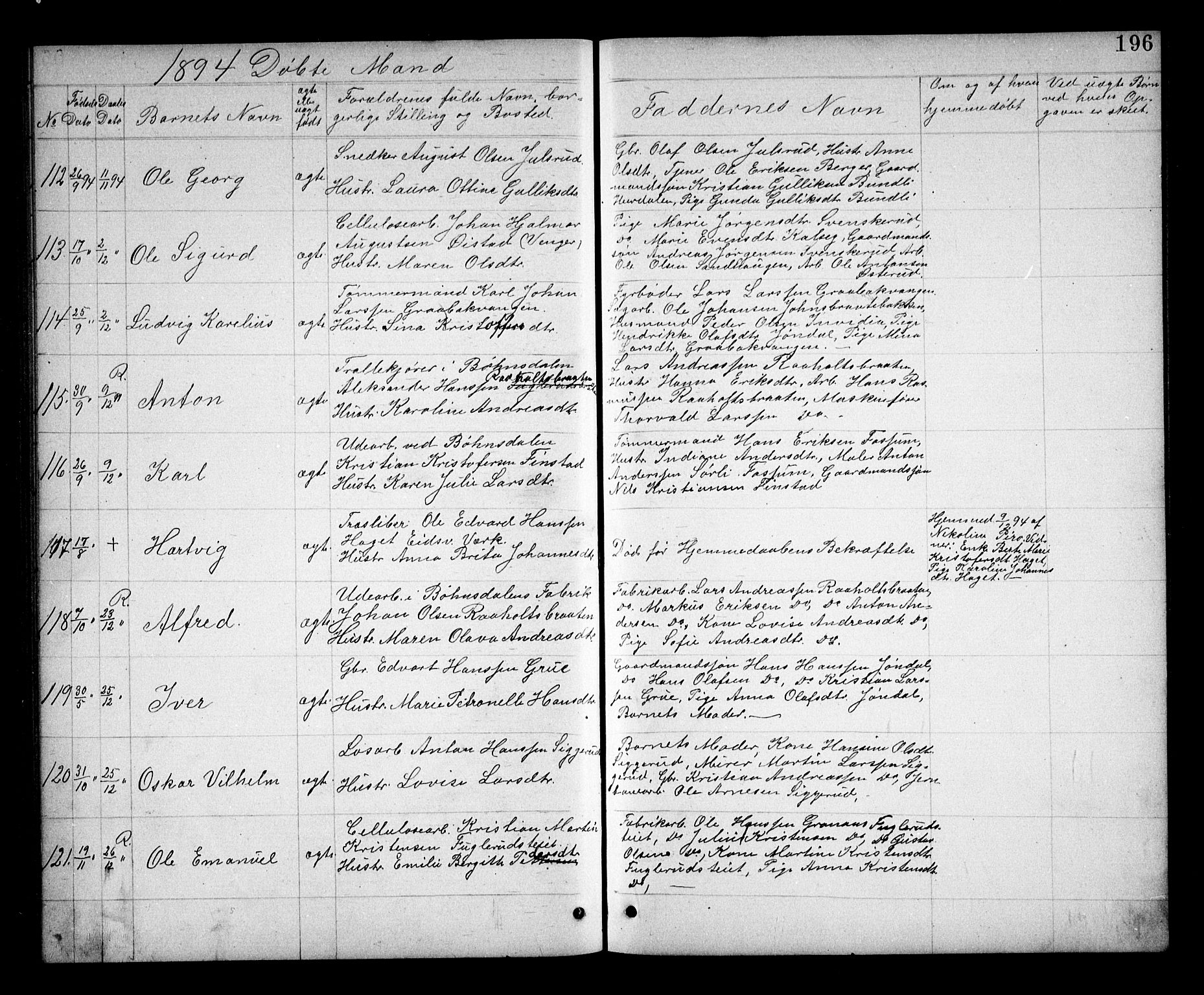 Eidsvoll prestekontor Kirkebøker, AV/SAO-A-10888/G/Ga/L0005: Parish register (copy) no. I 5, 1884-1894, p. 196