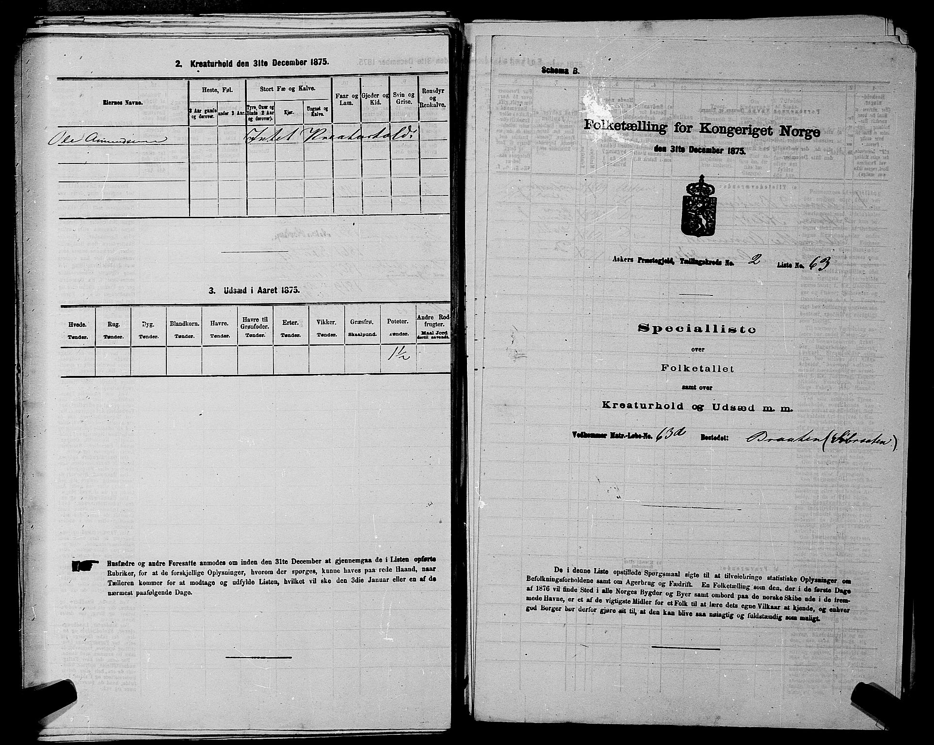 RA, 1875 census for 0220P Asker, 1875, p. 478