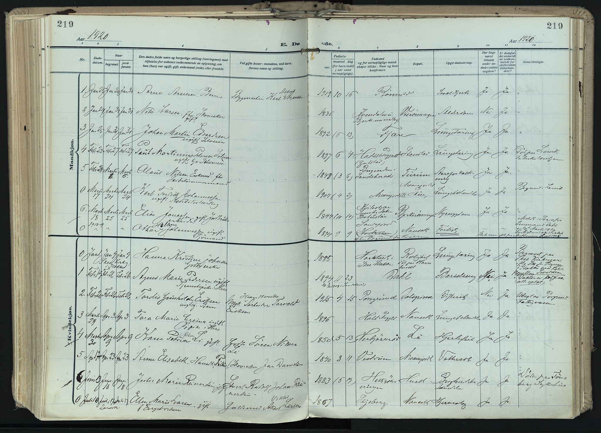 Hedrum kirkebøker, SAKO/A-344/F/Fa/L0011: Parish register (official) no. I 11, 1919-1933, p. 219