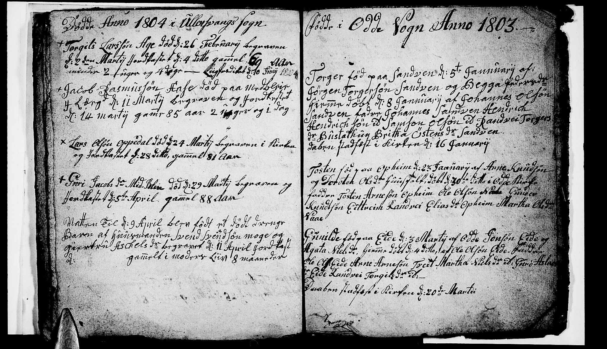 Ullensvang sokneprestembete, AV/SAB-A-78701/H/Hab: Parish register (copy) no. A 2, 1803-1804