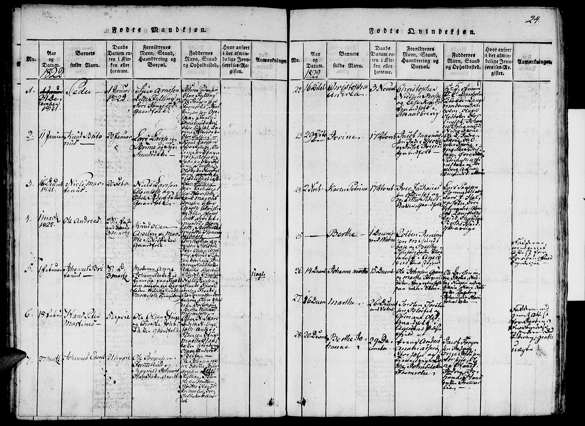 Ministerialprotokoller, klokkerbøker og fødselsregistre - Møre og Romsdal, AV/SAT-A-1454/524/L0351: Parish register (official) no. 524A03, 1816-1838, p. 24