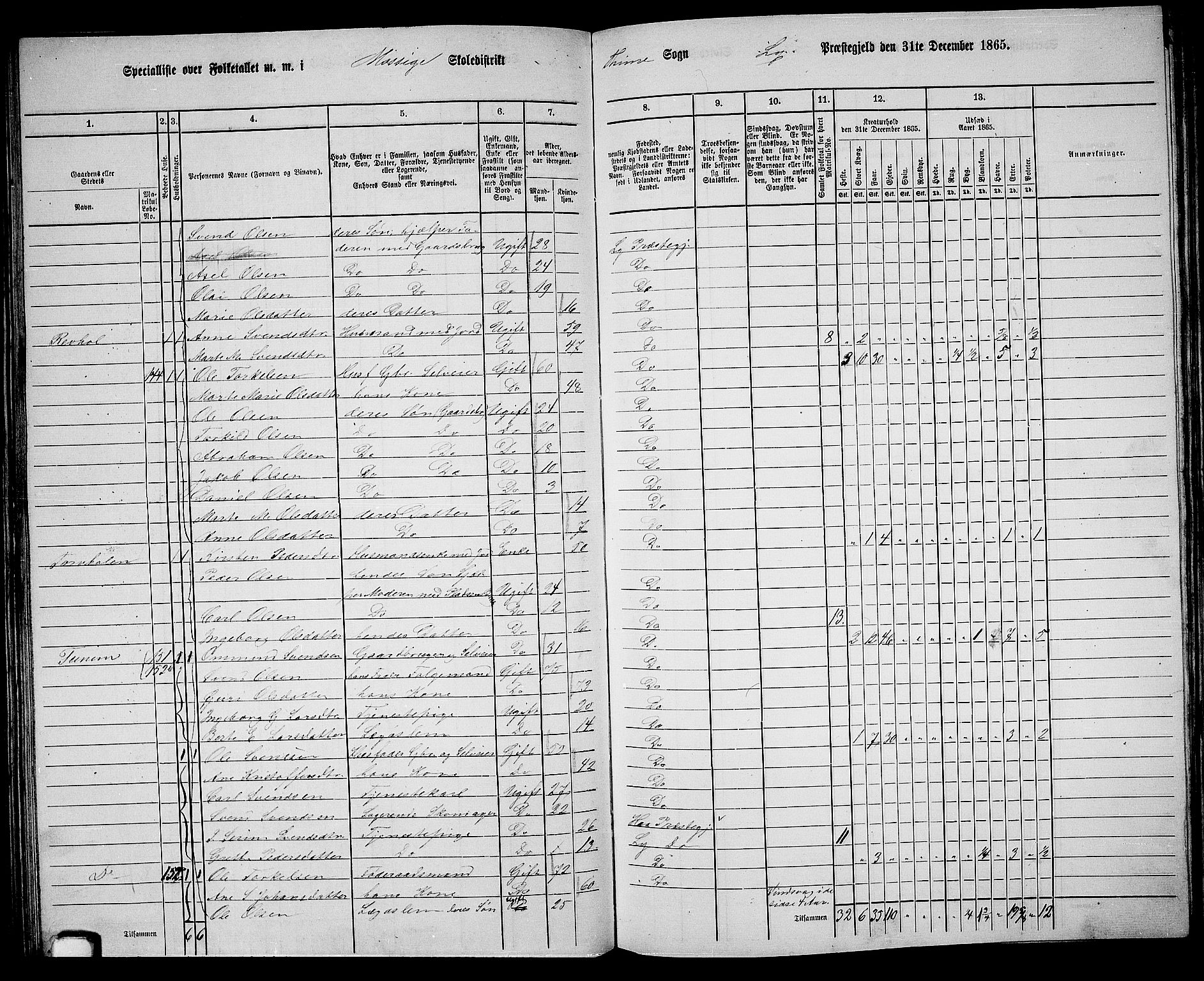 RA, 1865 census for Lye, 1865, p. 87