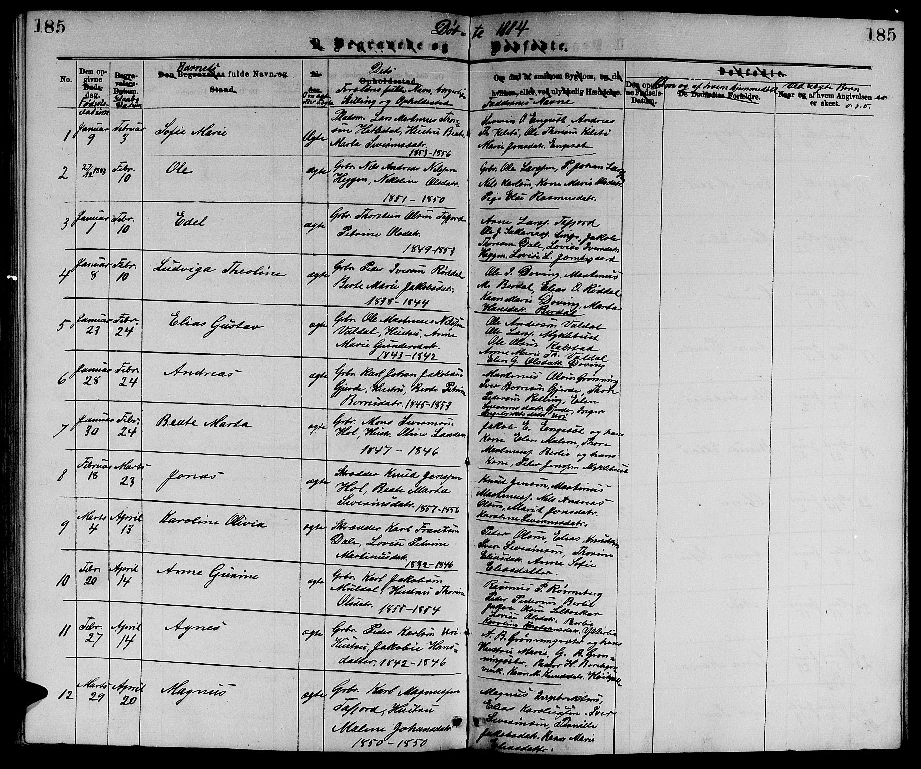Ministerialprotokoller, klokkerbøker og fødselsregistre - Møre og Romsdal, SAT/A-1454/519/L0262: Parish register (copy) no. 519C03, 1866-1884, p. 185