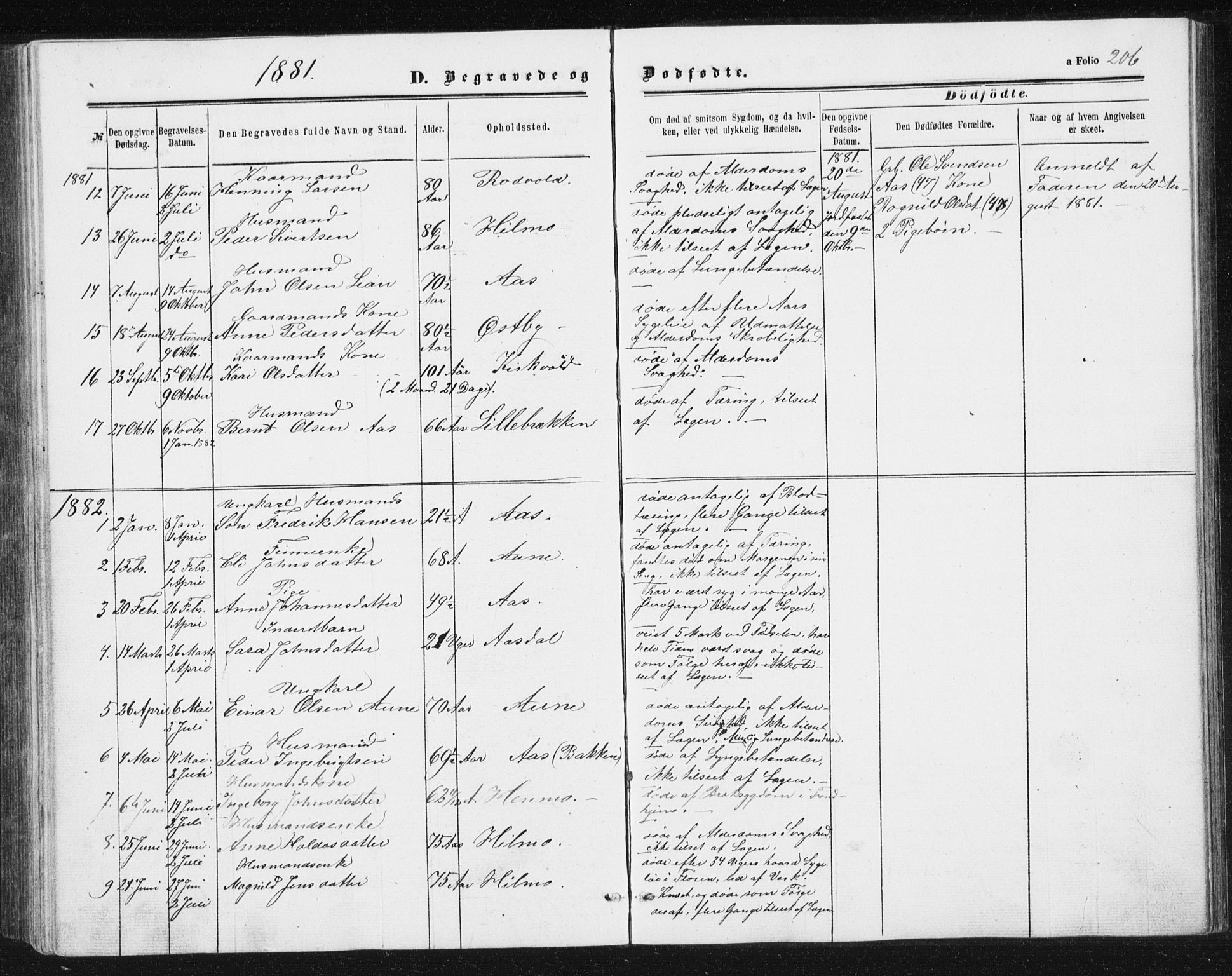 Ministerialprotokoller, klokkerbøker og fødselsregistre - Sør-Trøndelag, AV/SAT-A-1456/698/L1166: Parish register (copy) no. 698C03, 1861-1887, p. 206