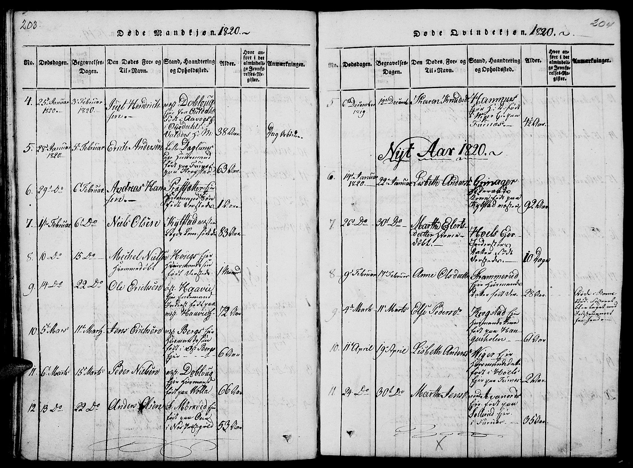 Vang prestekontor, Hedmark, AV/SAH-PREST-008/H/Ha/Haa/L0008: Parish register (official) no. 8, 1815-1826, p. 203-204