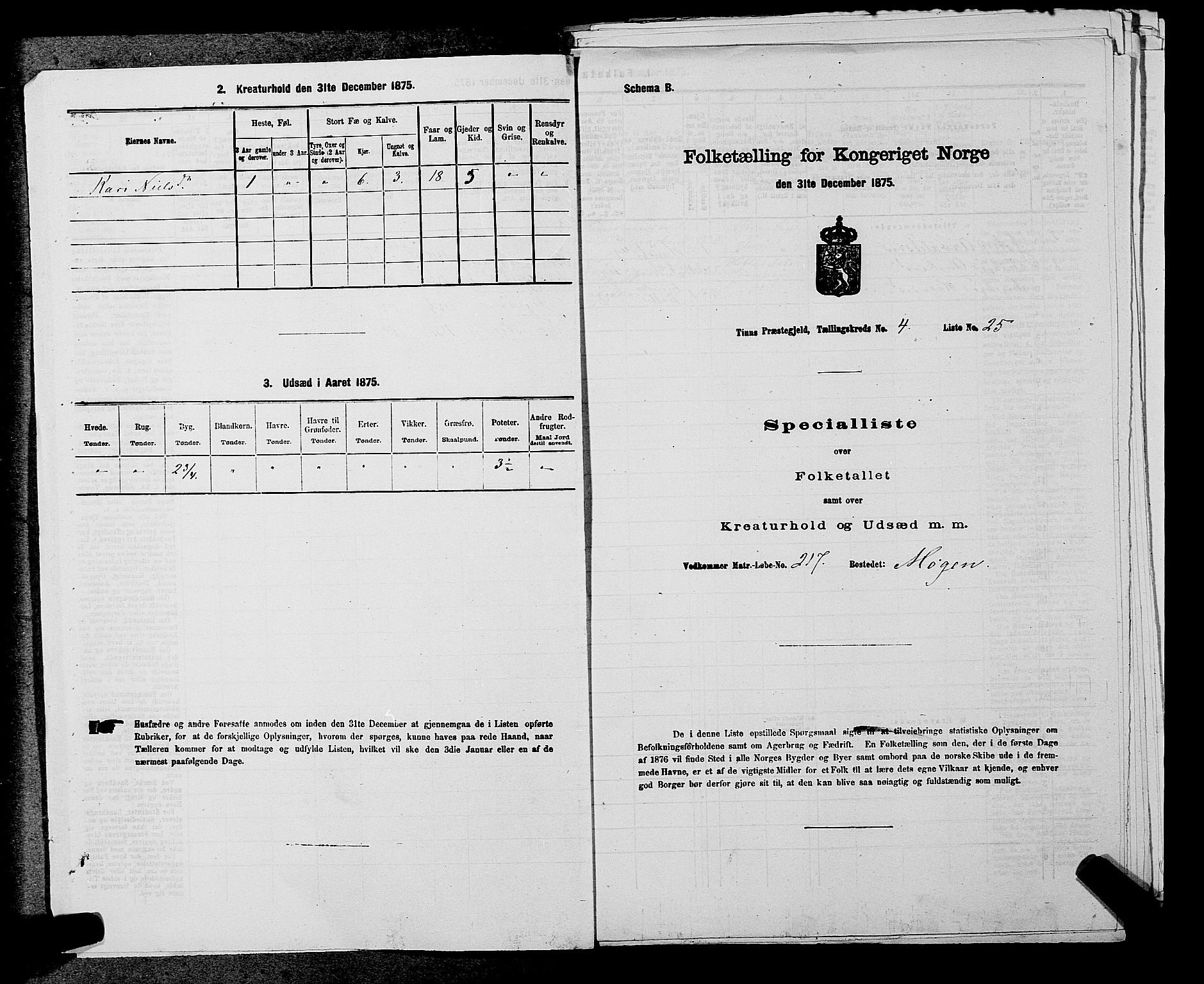 SAKO, 1875 census for 0826P Tinn, 1875, p. 508