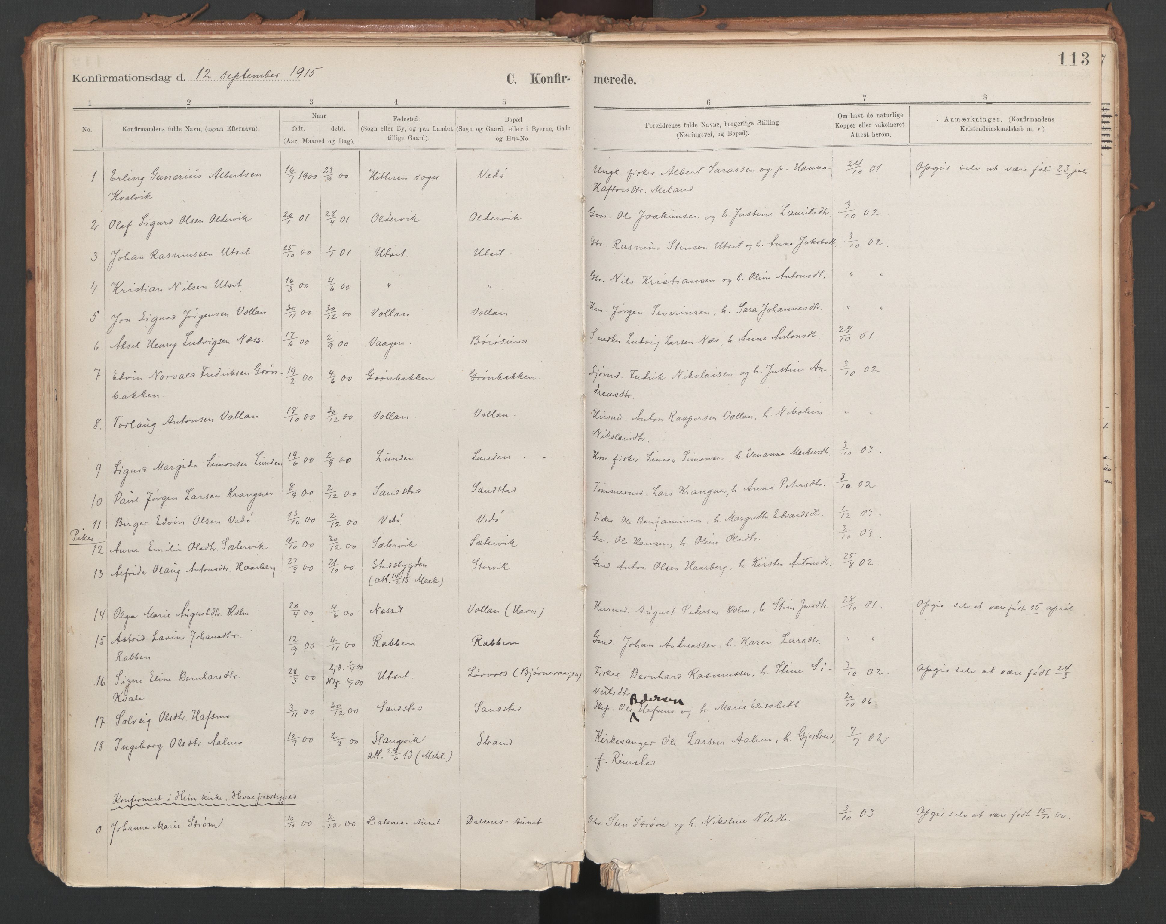 Ministerialprotokoller, klokkerbøker og fødselsregistre - Sør-Trøndelag, SAT/A-1456/639/L0572: Parish register (official) no. 639A01, 1890-1920, p. 113