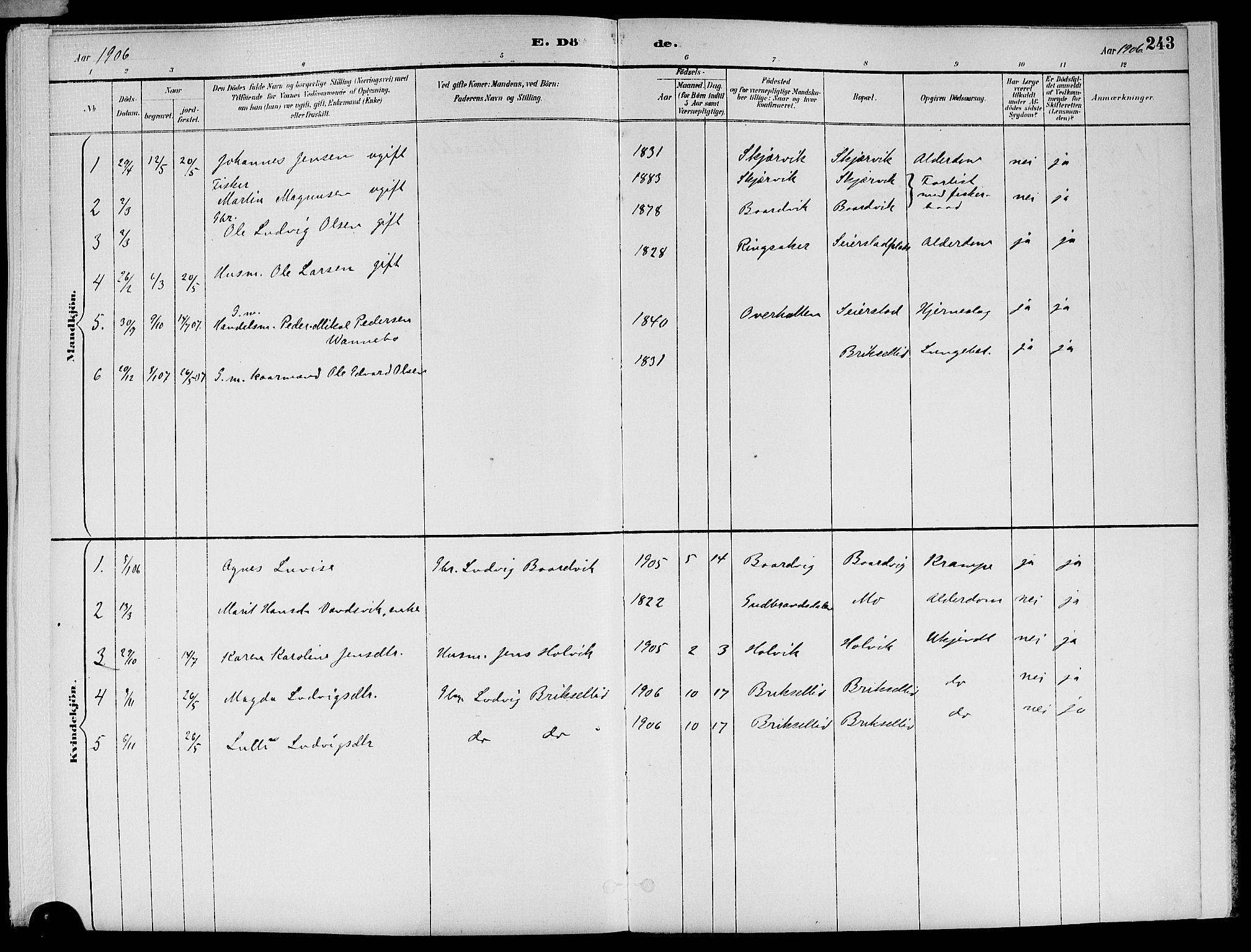 Ministerialprotokoller, klokkerbøker og fødselsregistre - Nord-Trøndelag, SAT/A-1458/773/L0617: Parish register (official) no. 773A08, 1887-1910, p. 243