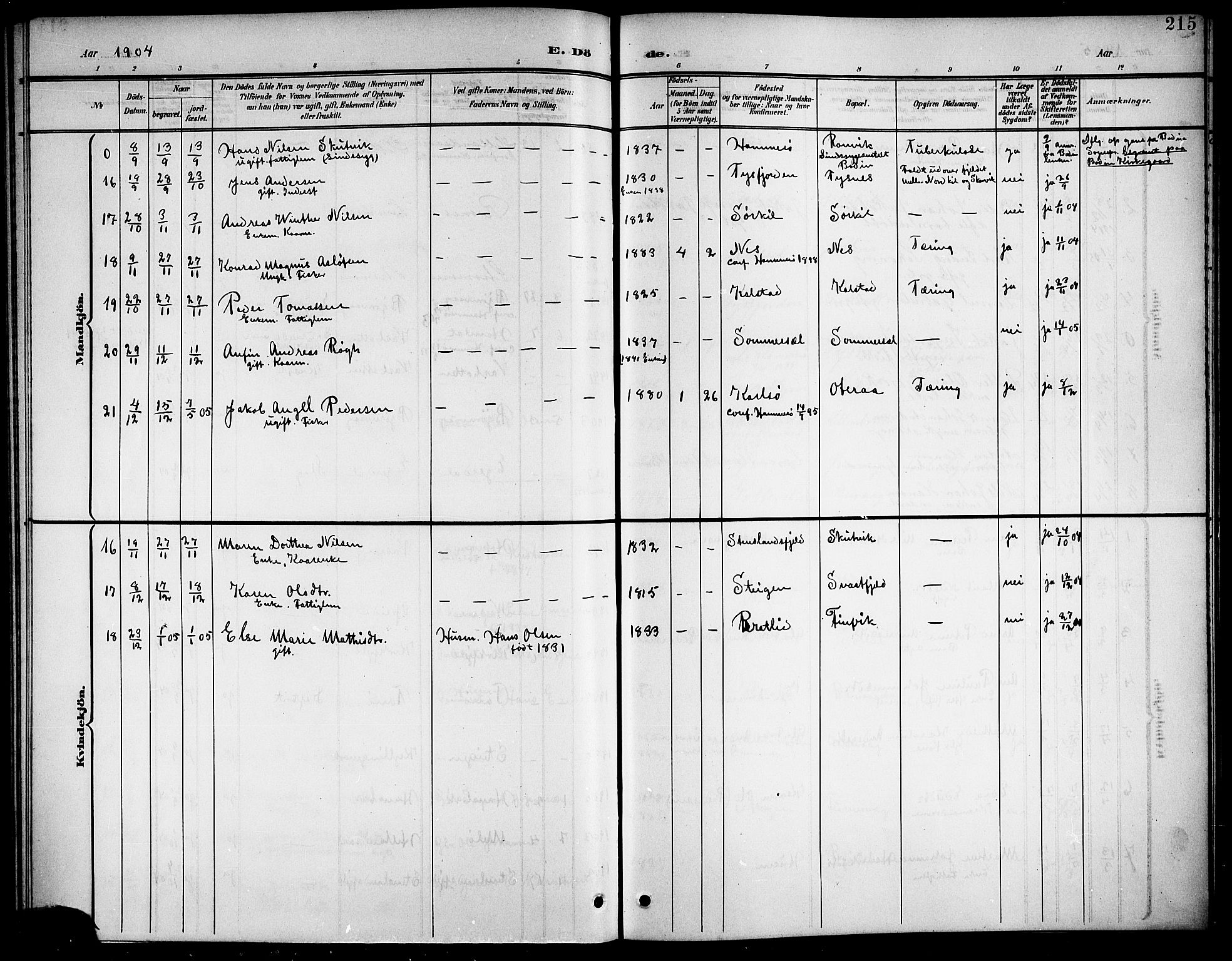 Ministerialprotokoller, klokkerbøker og fødselsregistre - Nordland, AV/SAT-A-1459/859/L0860: Parish register (copy) no. 859C06, 1899-1909, p. 215