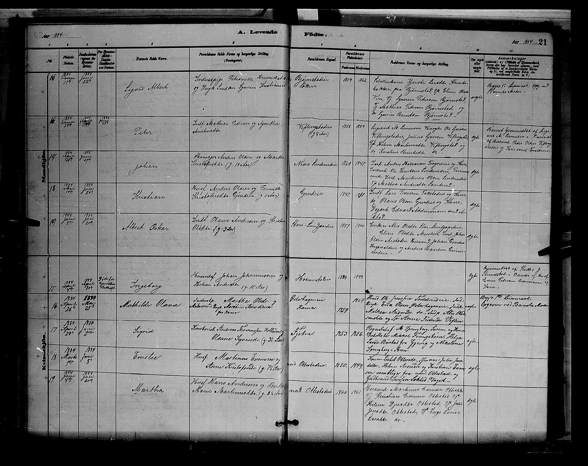 Stange prestekontor, AV/SAH-PREST-002/L/L0007: Parish register (copy) no. 7, 1880-1893, p. 21