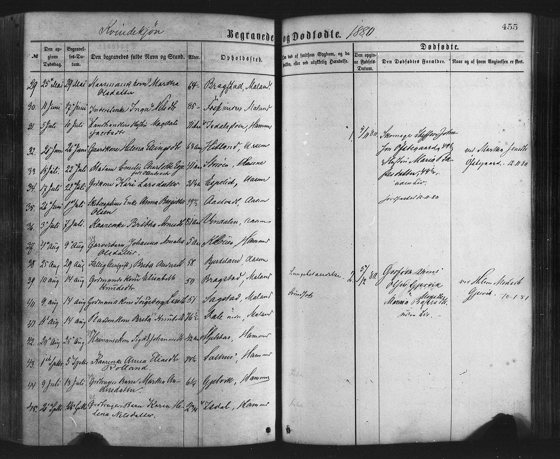 Hamre sokneprestembete, AV/SAB-A-75501/H/Ha/Haa/Haaa/L0015: Parish register (official) no. A 15, 1870-1881, p. 455