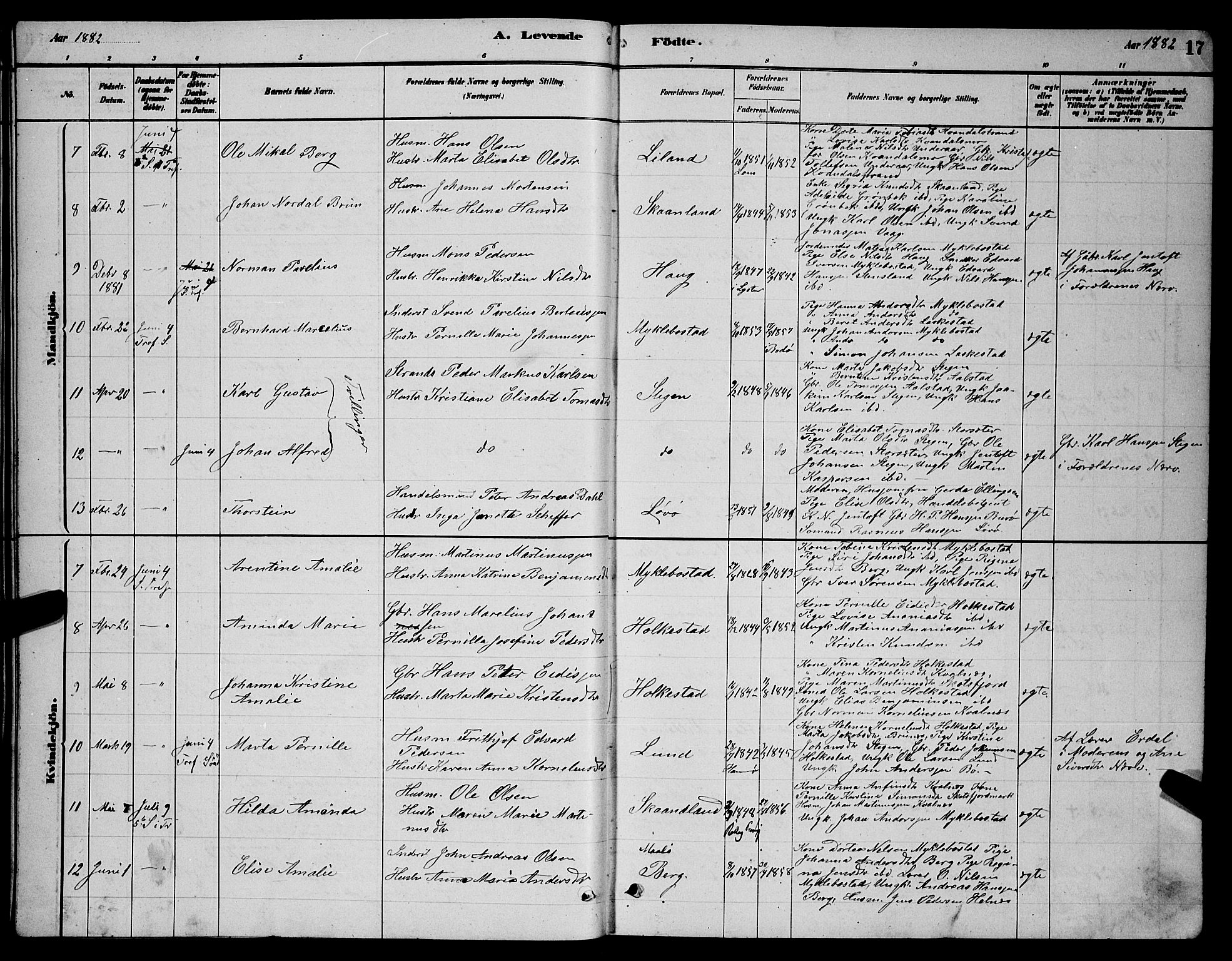 Ministerialprotokoller, klokkerbøker og fødselsregistre - Nordland, AV/SAT-A-1459/855/L0816: Parish register (copy) no. 855C05, 1879-1894, p. 17