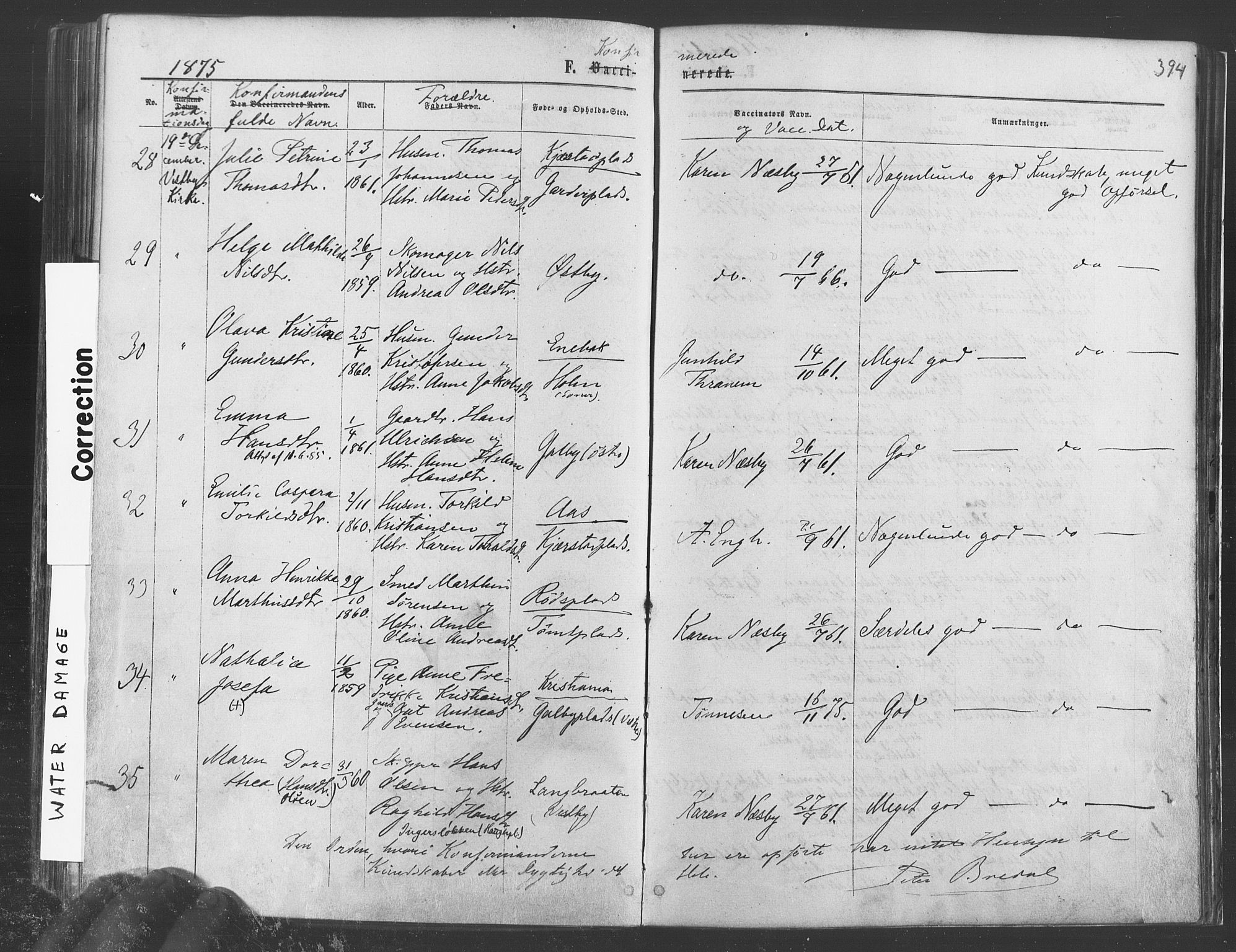 Vestby prestekontor Kirkebøker, SAO/A-10893/F/Fa/L0008: Parish register (official) no. I 8, 1863-1877, p. 294