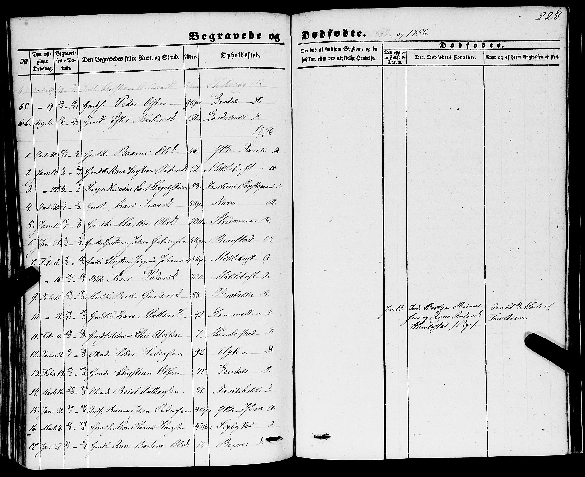 Davik sokneprestembete, SAB/A-79701/H/Haa/Haaa/L0005: Parish register (official) no. A 5, 1850-1866, p. 228