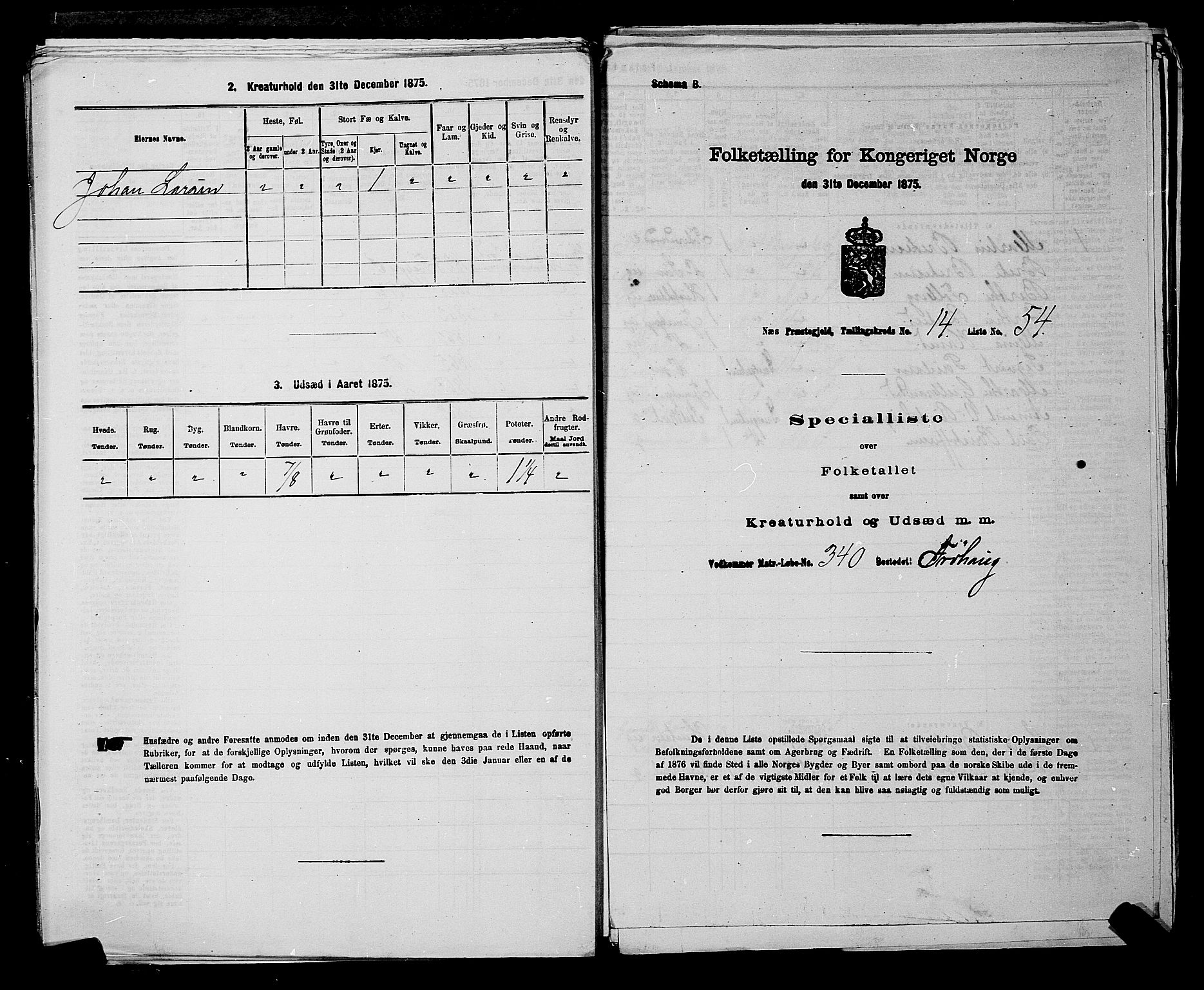 RA, 1875 census for 0236P Nes, 1875, p. 2578