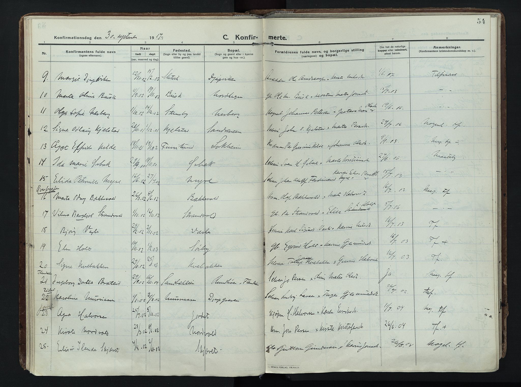 Trysil prestekontor, AV/SAH-PREST-046/H/Ha/Haa/L0014: Parish register (official) no. 14, 1912-1923, p. 54