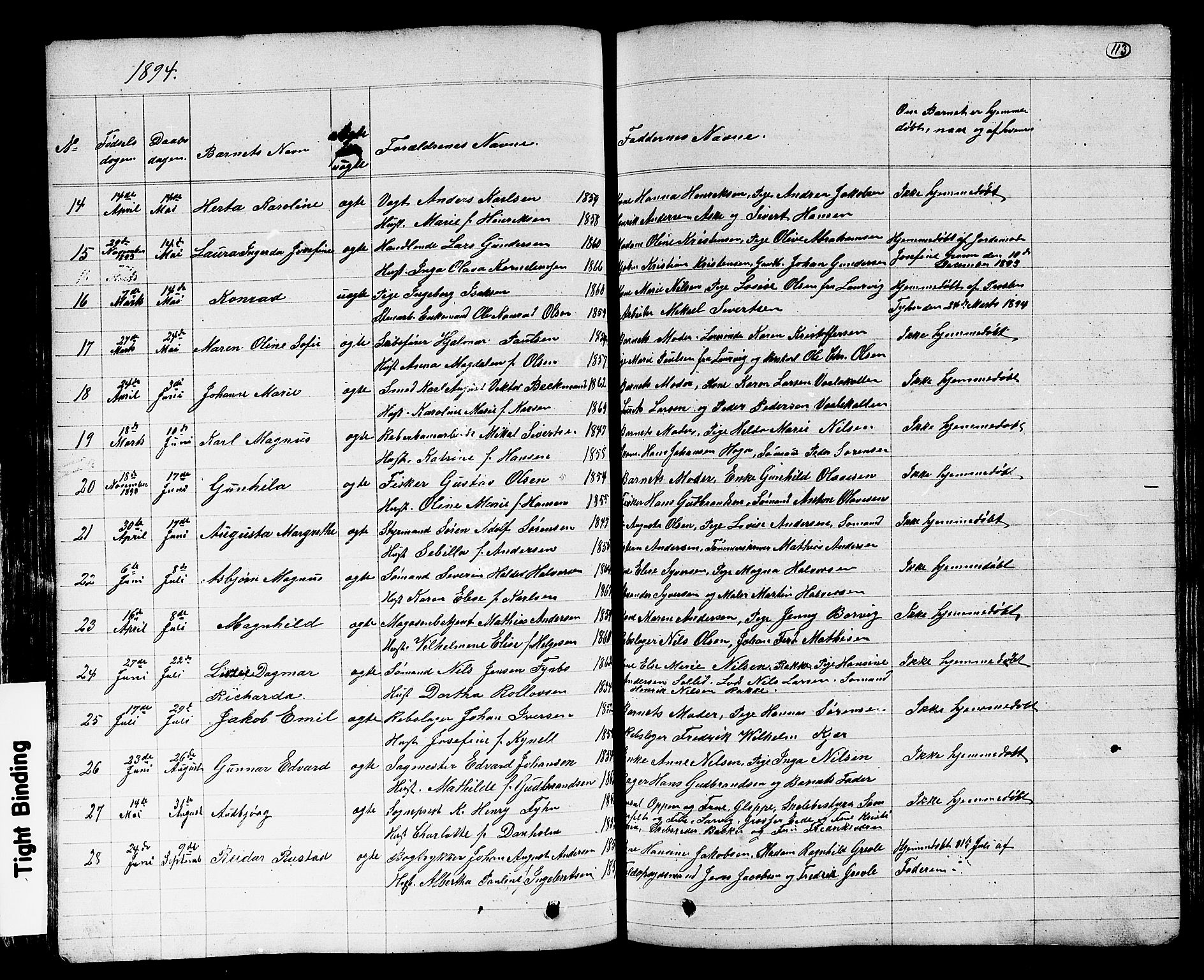 Stavern kirkebøker, AV/SAKO-A-318/G/Ga/L0002: Parish register (copy) no. 2, 1839-1909, p. 113