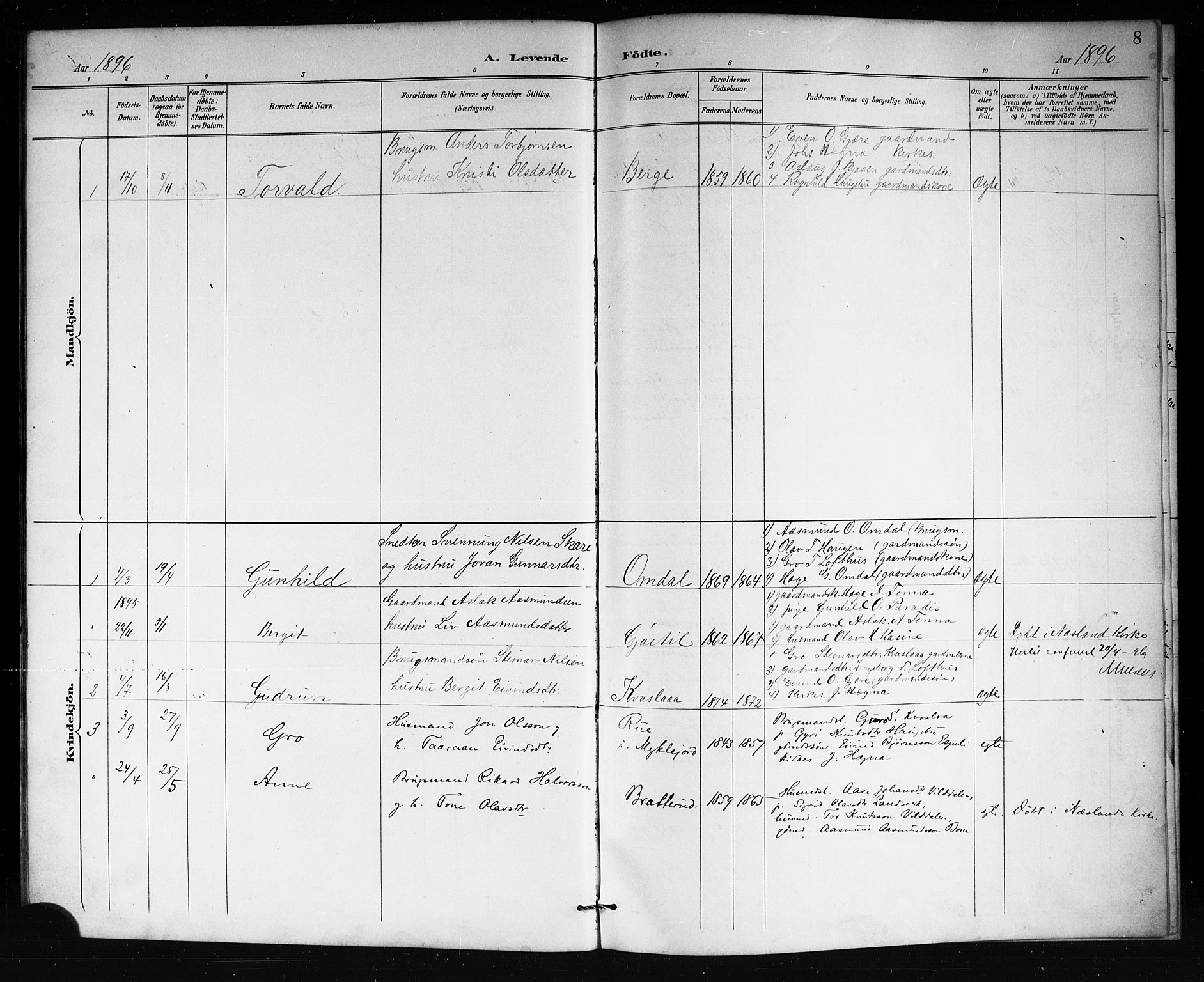 Lårdal kirkebøker, AV/SAKO-A-284/G/Gb/L0003: Parish register (copy) no. II 3, 1889-1920, p. 8