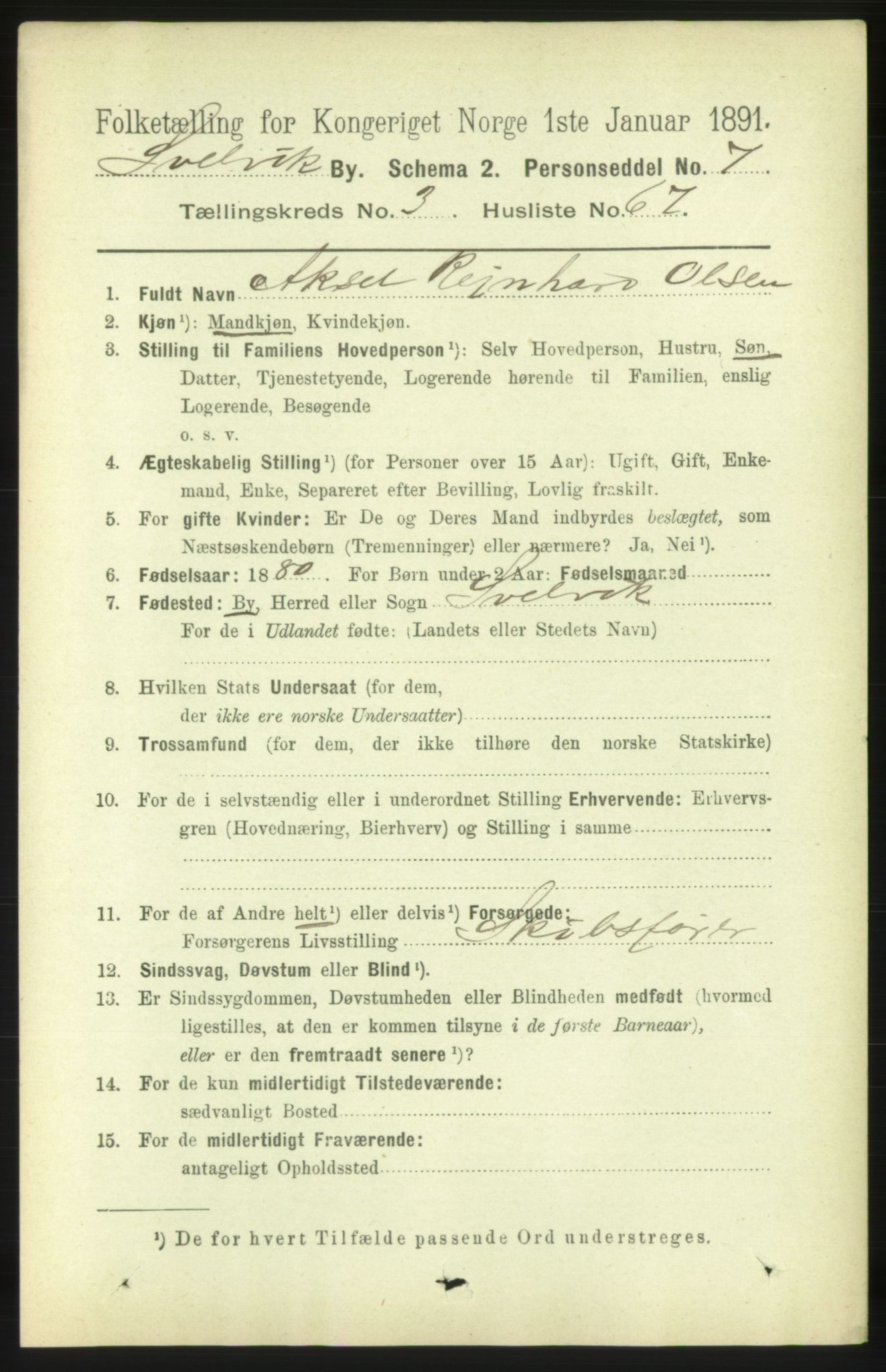 RA, 1891 census for 0701 Svelvik, 1891, p. 1596