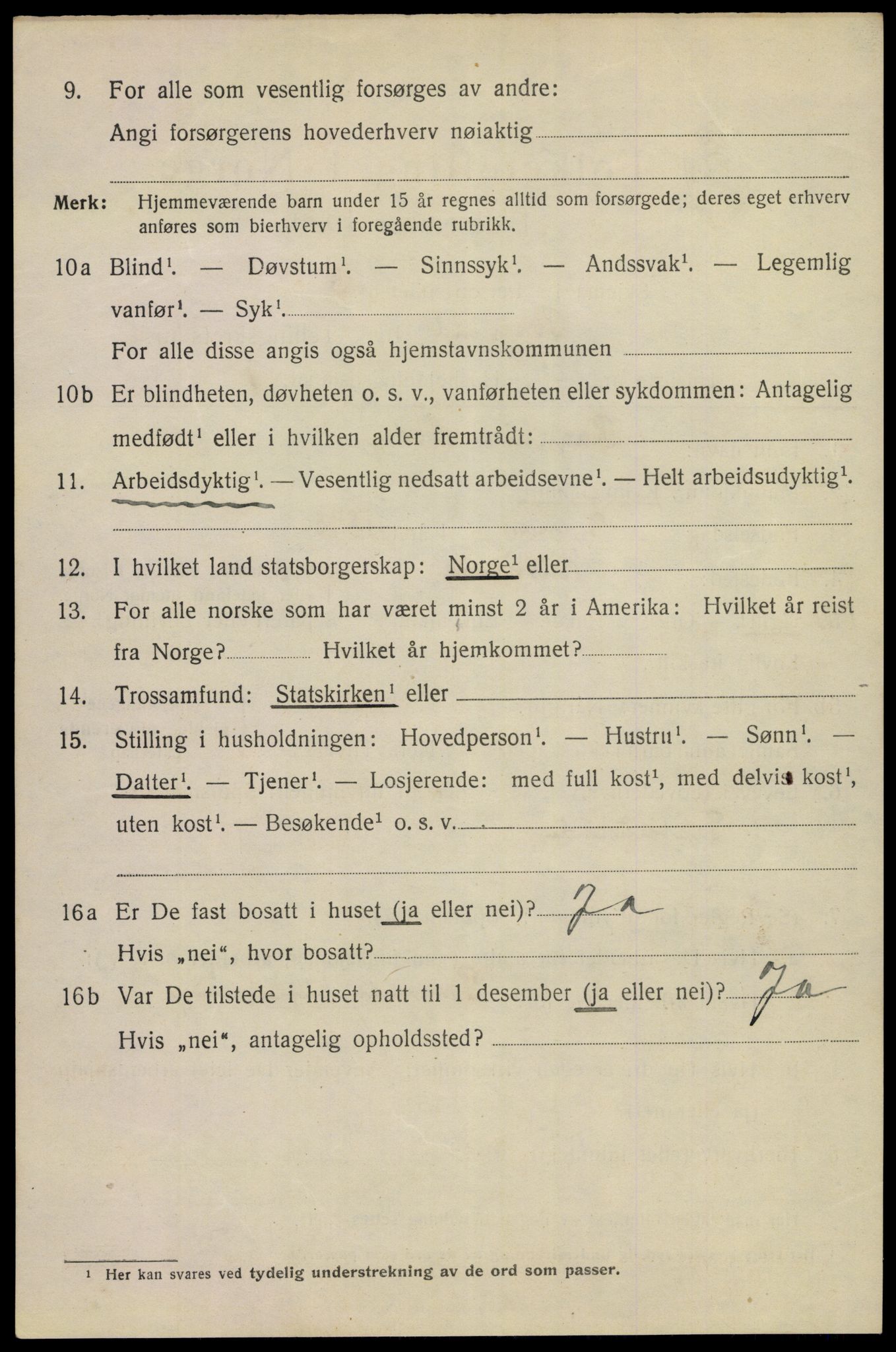 SAKO, 1920 census for Porsgrunn, 1920, p. 9454