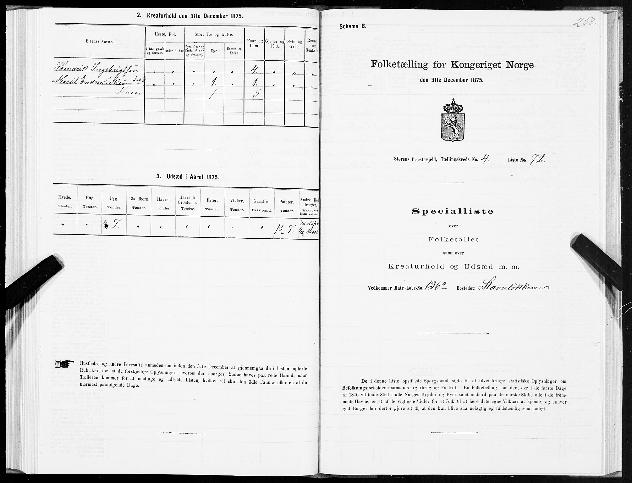 SAT, 1875 census for 1648P Støren, 1875, p. 8258