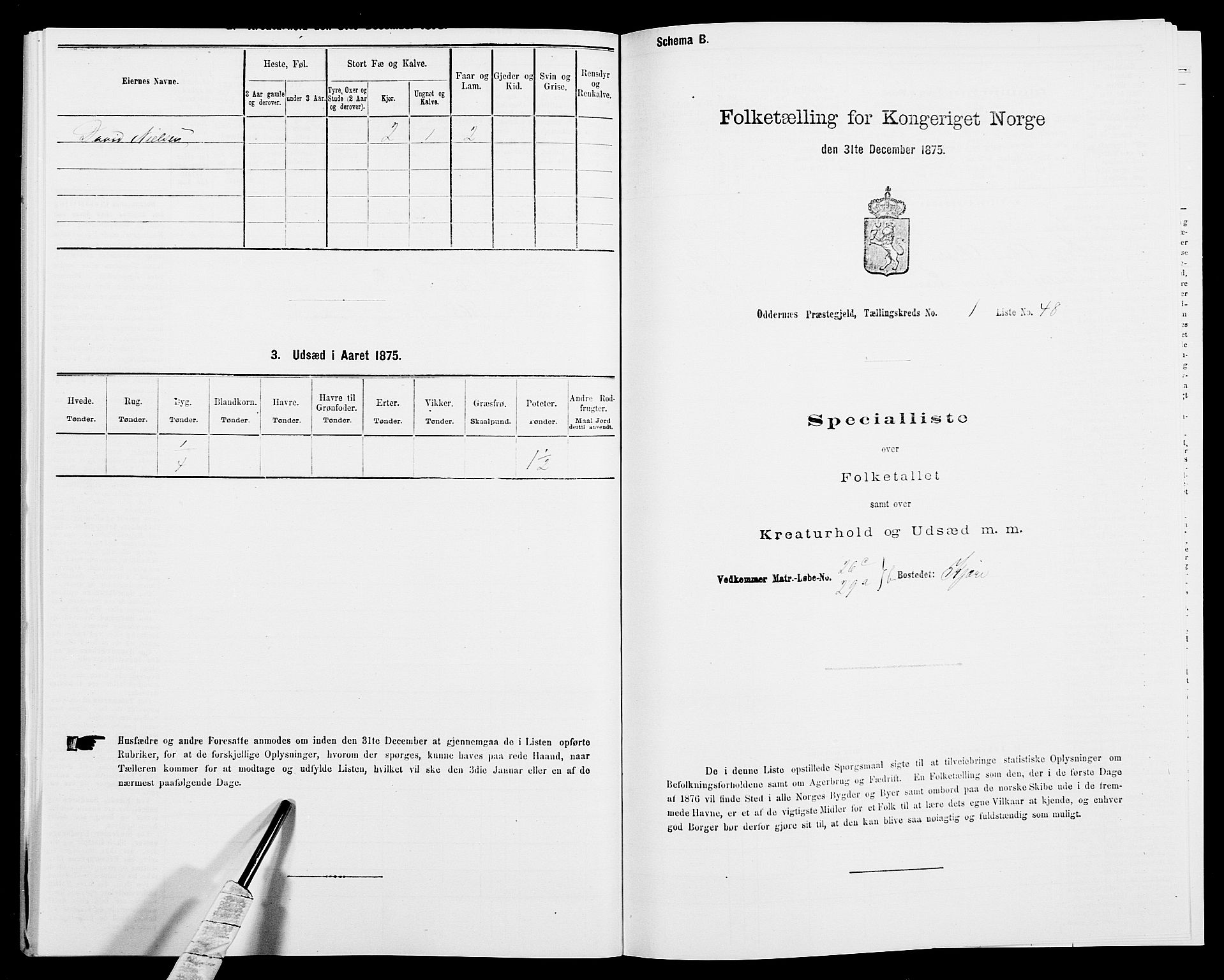 SAK, 1875 census for 1012P Oddernes, 1875, p. 154