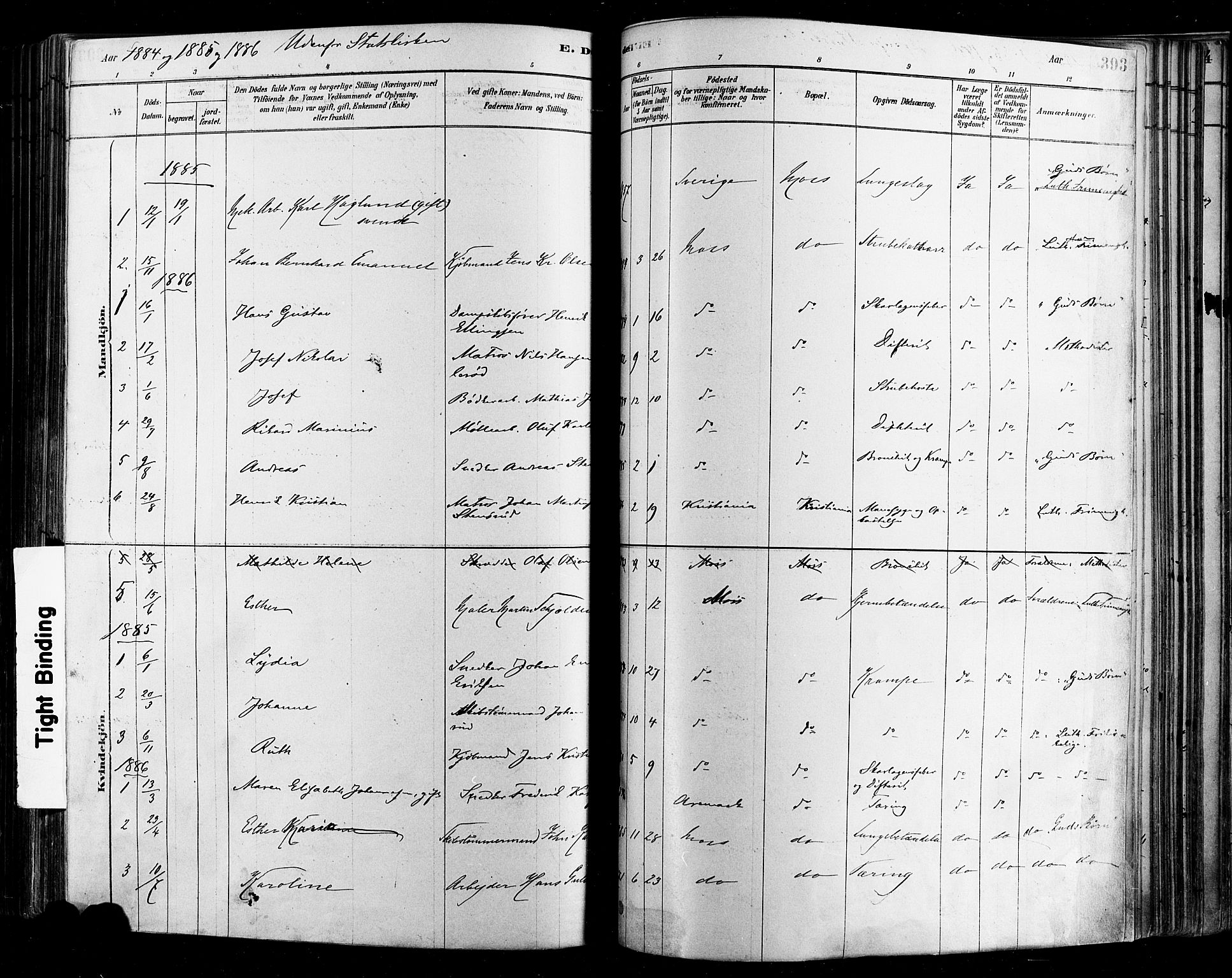 Moss prestekontor Kirkebøker, AV/SAO-A-2003/F/Fb/L0001: Parish register (official) no. II 1, 1878-1886, p. 393