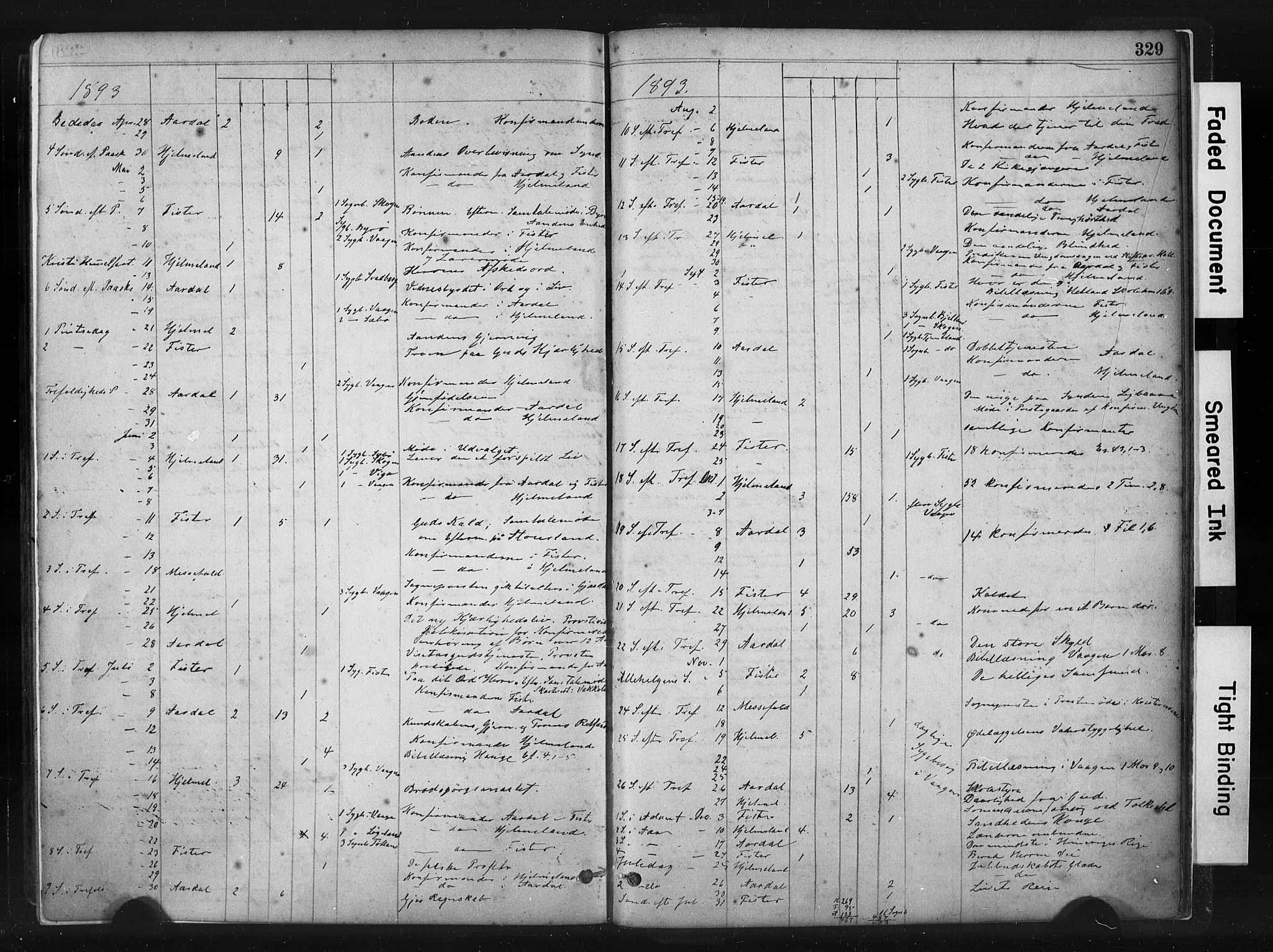 Hjelmeland sokneprestkontor, AV/SAST-A-101843/01/IV/L0014: Parish register (official) no. A 14, 1879-1900, p. 329