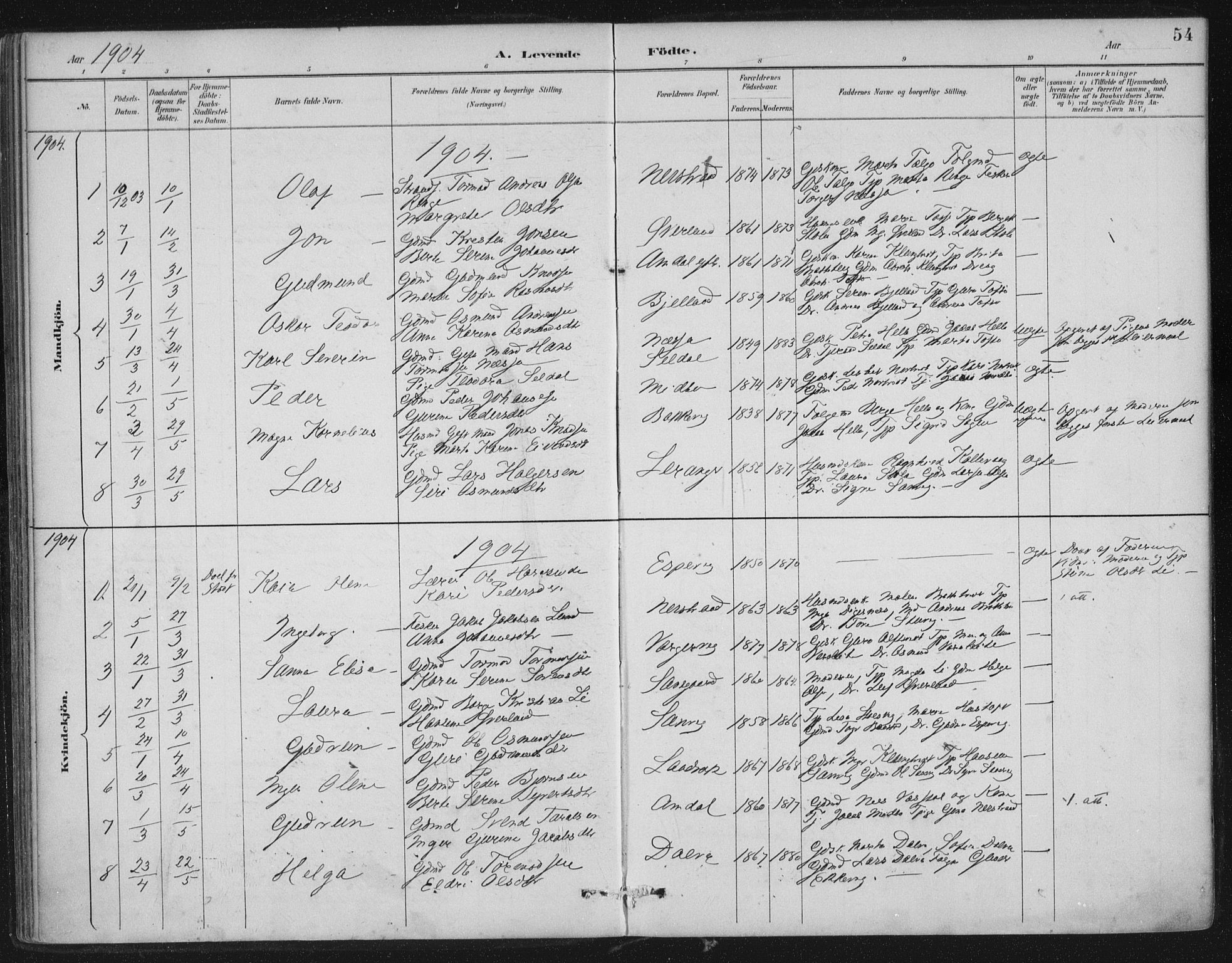 Nedstrand sokneprestkontor, AV/SAST-A-101841/01/IV: Parish register (official) no. A 12, 1887-1915, p. 54